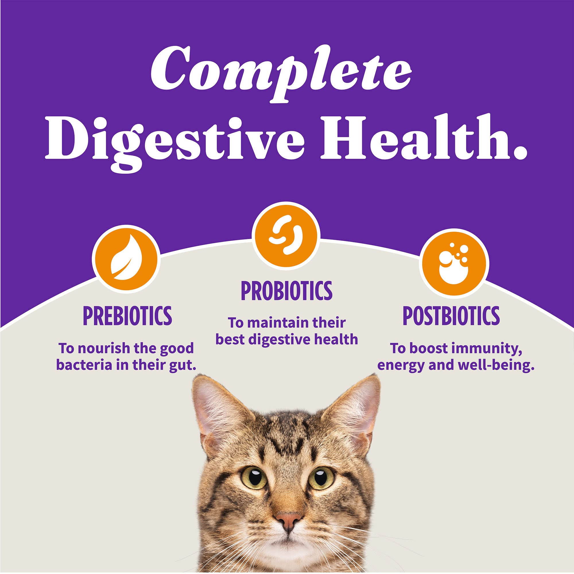 Halo Holistic Cage Free Chicken Cat Food, Grain Free Dry Cat Food, For Healthy Weight Support, Kibble for Indoor Cats, 6 lb Bag