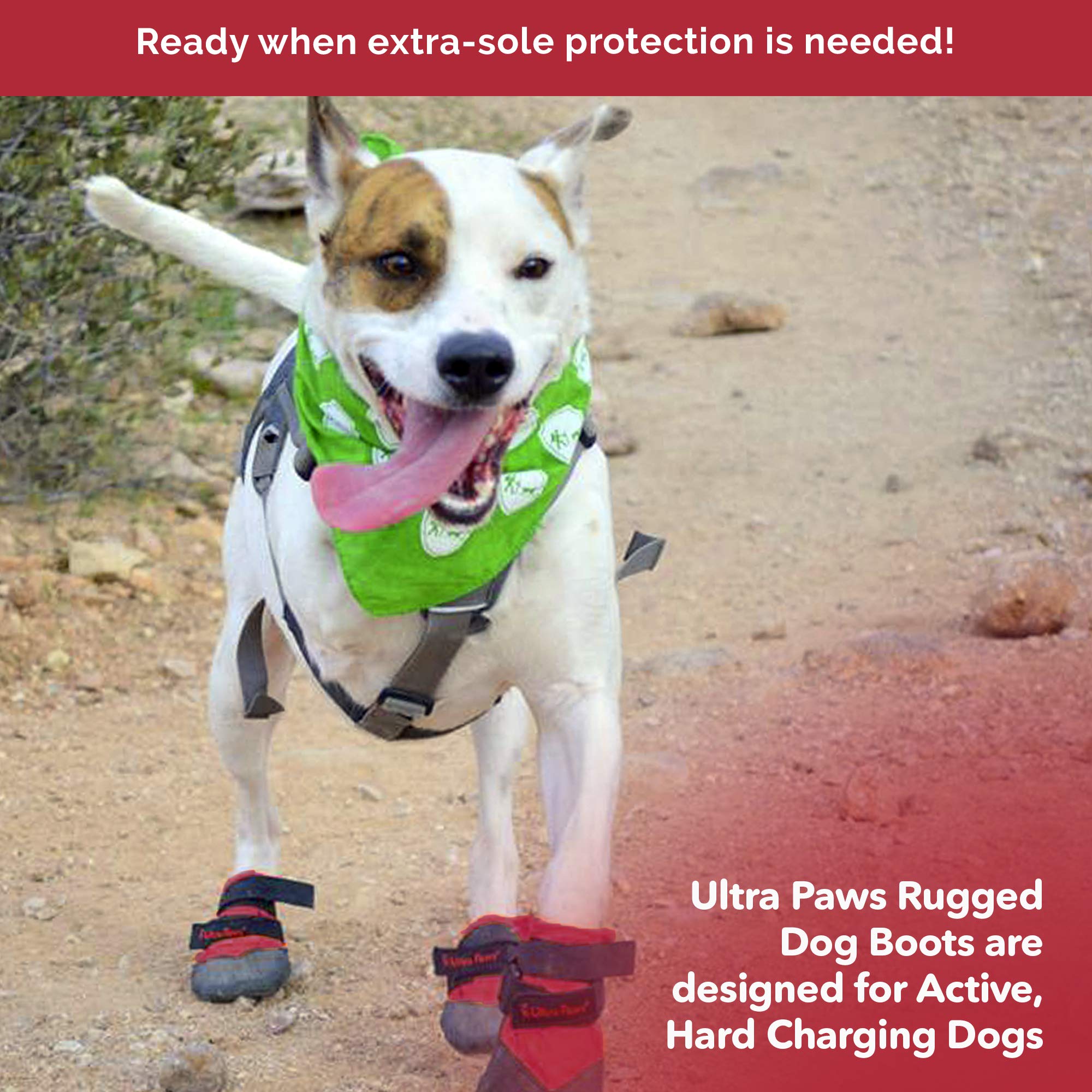 Ultra Paws Rugged Dog Boots and Paw Protectors for Small, Medium and Large Dogs Red (Size 8)