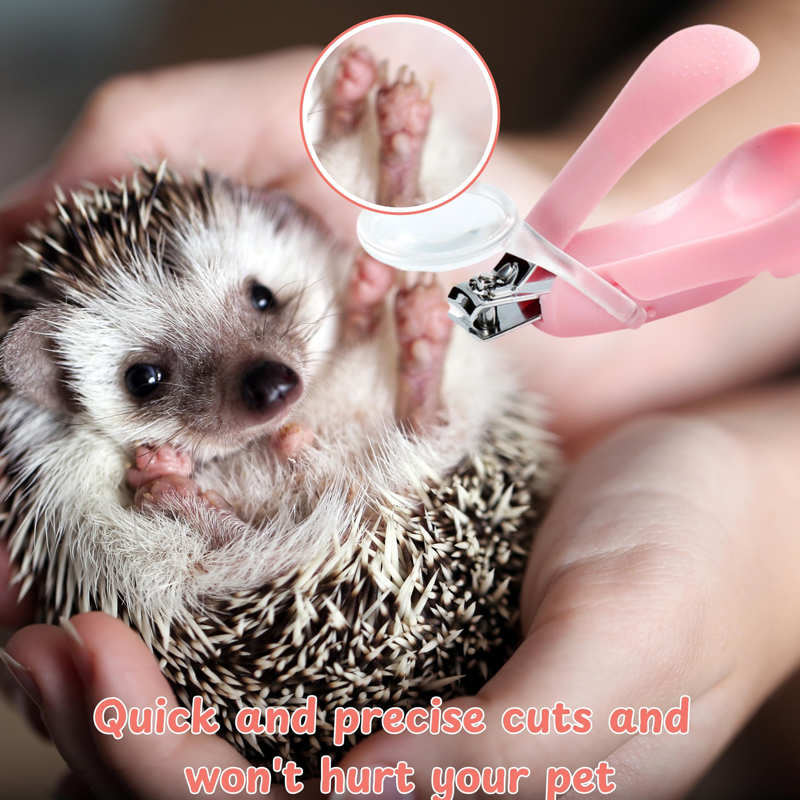 Hedgehog Toe Nail Clippers And Comb Set, 2 Pcs Hedgehog Soft Cleansing Brush And Toenail Clipper With Magnifier, Hedgehogs Massa
