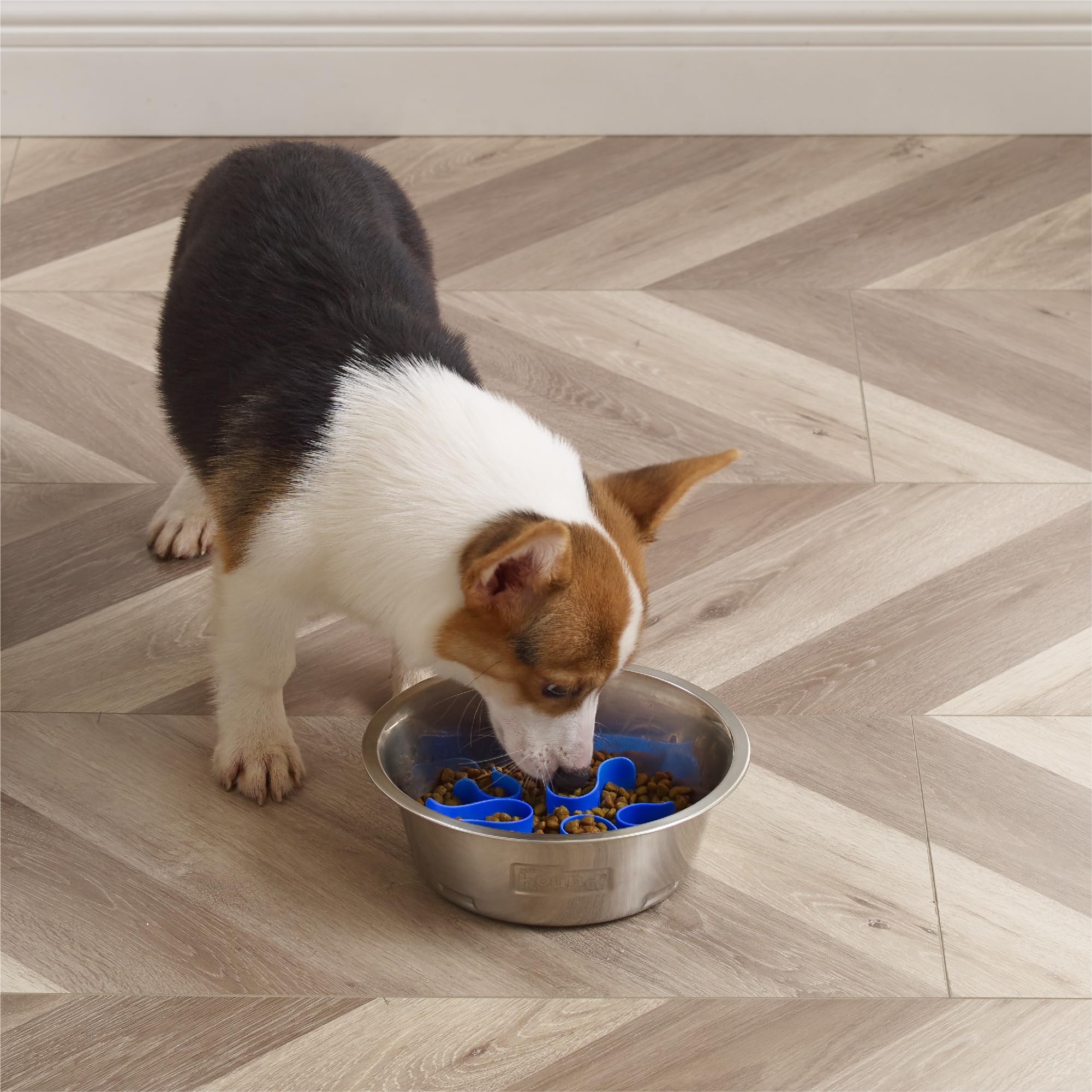 Outward Hound Stainless Steel Slow Feeder Bowl, Plastic Puzzle Maze for Fast Eaters, Small to Medium Dogs, Helps Prevent Bloat &
