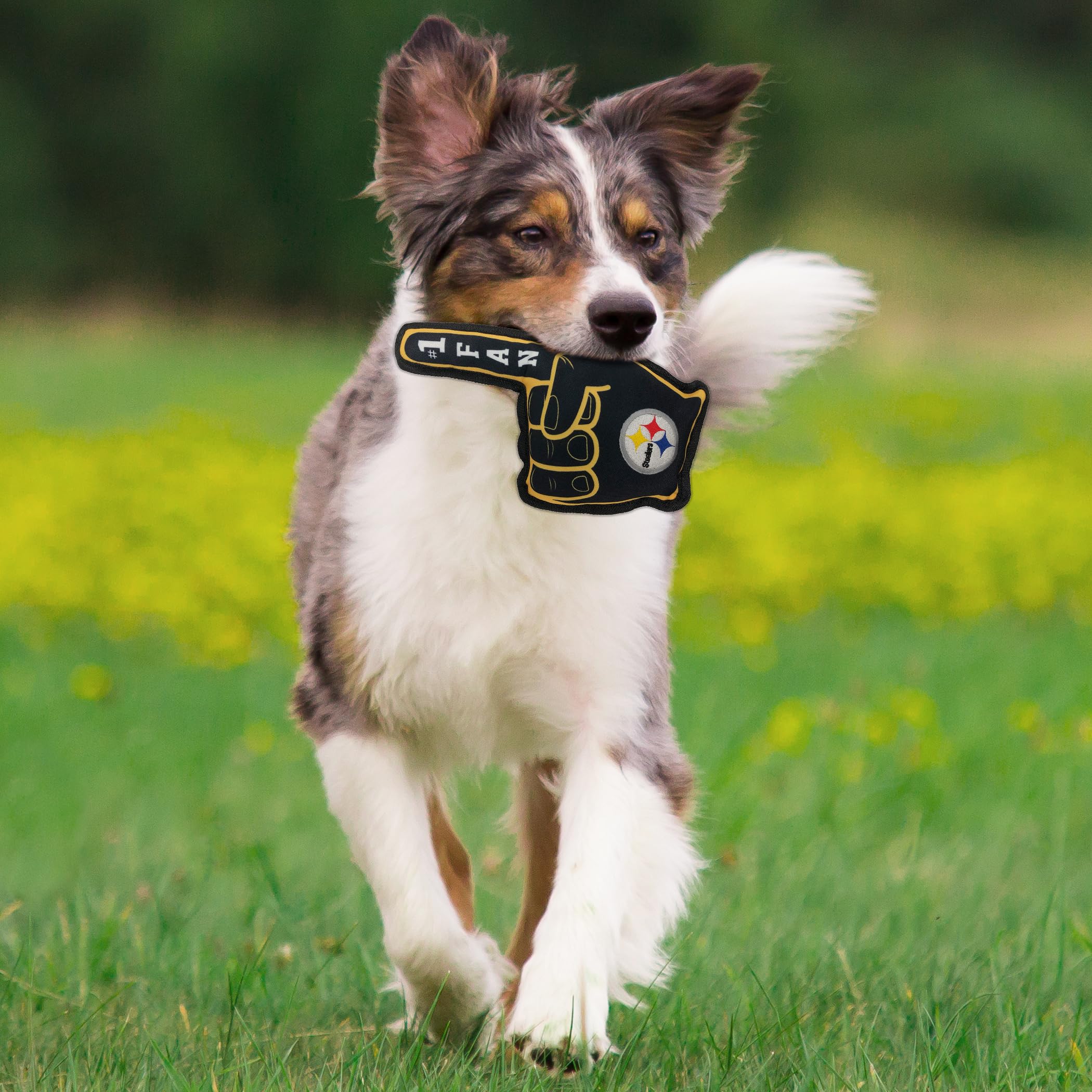 Nfl Pittsburgh Steelers #1 Fan Toy For Dogs & Cats. Best Tough Pet Toy With Inner Squeaker