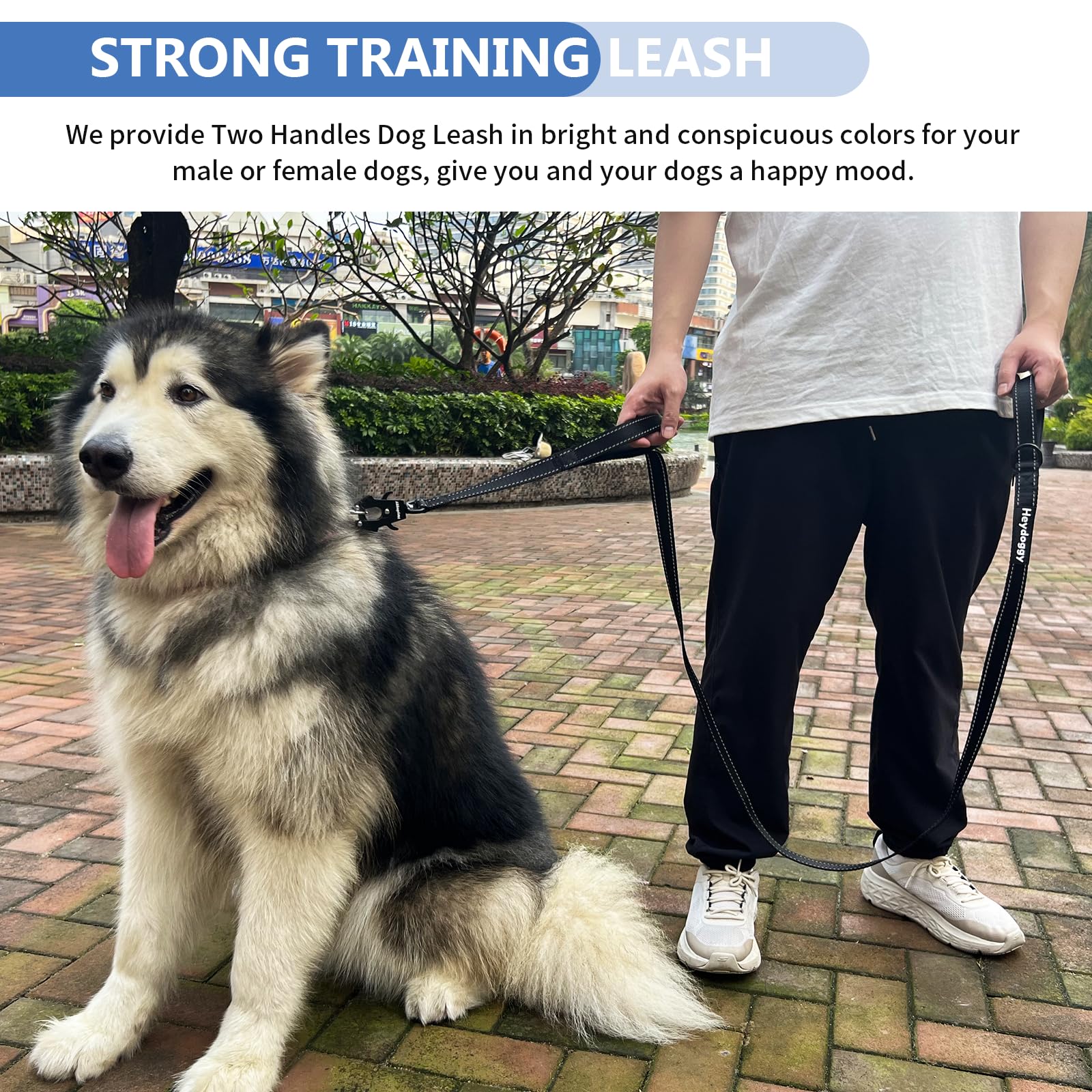 Strong Heavy Duty Dog Leash - 6Ft Reflective Nylon Training Leash With Soft Padded Double Handle & Auto Lock Frog Clip - Safety Traffic Control For Large Medium Small Dogs No Pull Walk Black Black,6Ft