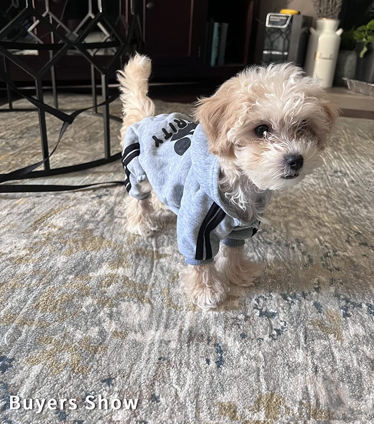Otunrues Dog Hoodies, Pet Dog Clothes Pullover 4 Legs Jumpsuit Sweatshirt Security Patterns Outfit Doggie Winter Coat Cotton Puppy Hoodied For Small Medium Large Dogs Cats(Gray,S)