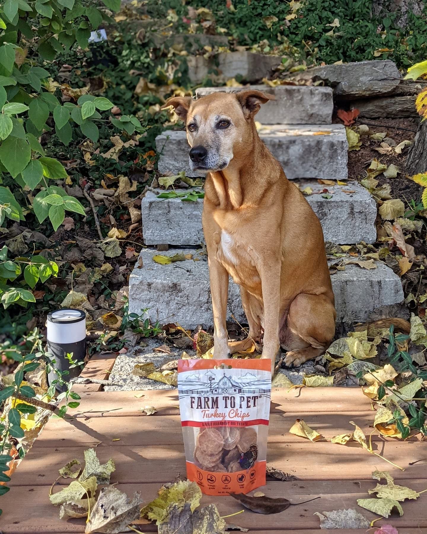 Farm To Pet Dog Training Treats, Healthy Turkey Chips for Dogs - 4 oz, 100% Human Grade Turkey Breast, All Natural, Single Ingre