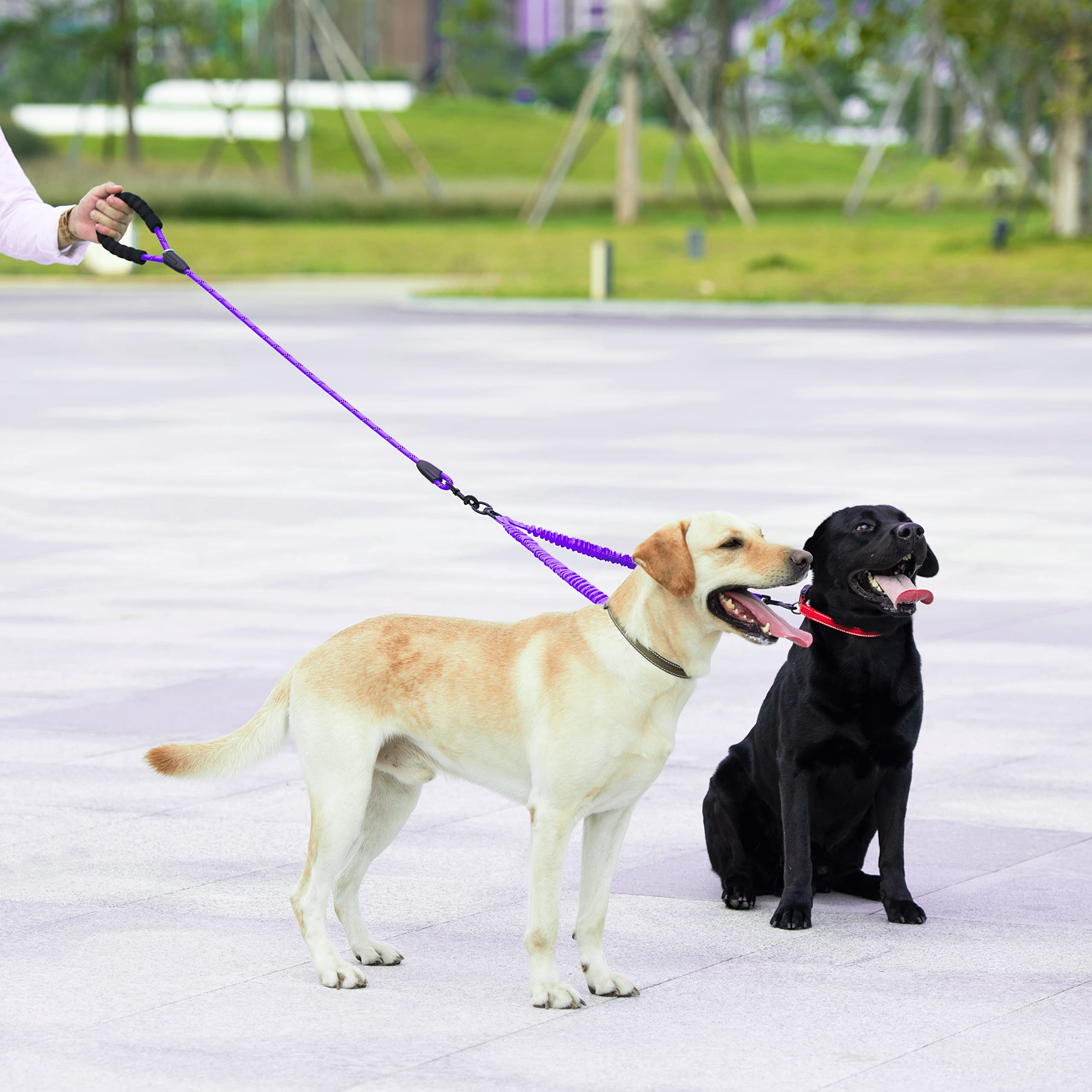Iyoshop Dual Dog Leash, Double Dog Leash, 360 Swivel No Tangle Walking Leash, Shock Absorbing Bungee For Two Dogs, Purple, Large (25-150 Lbs)