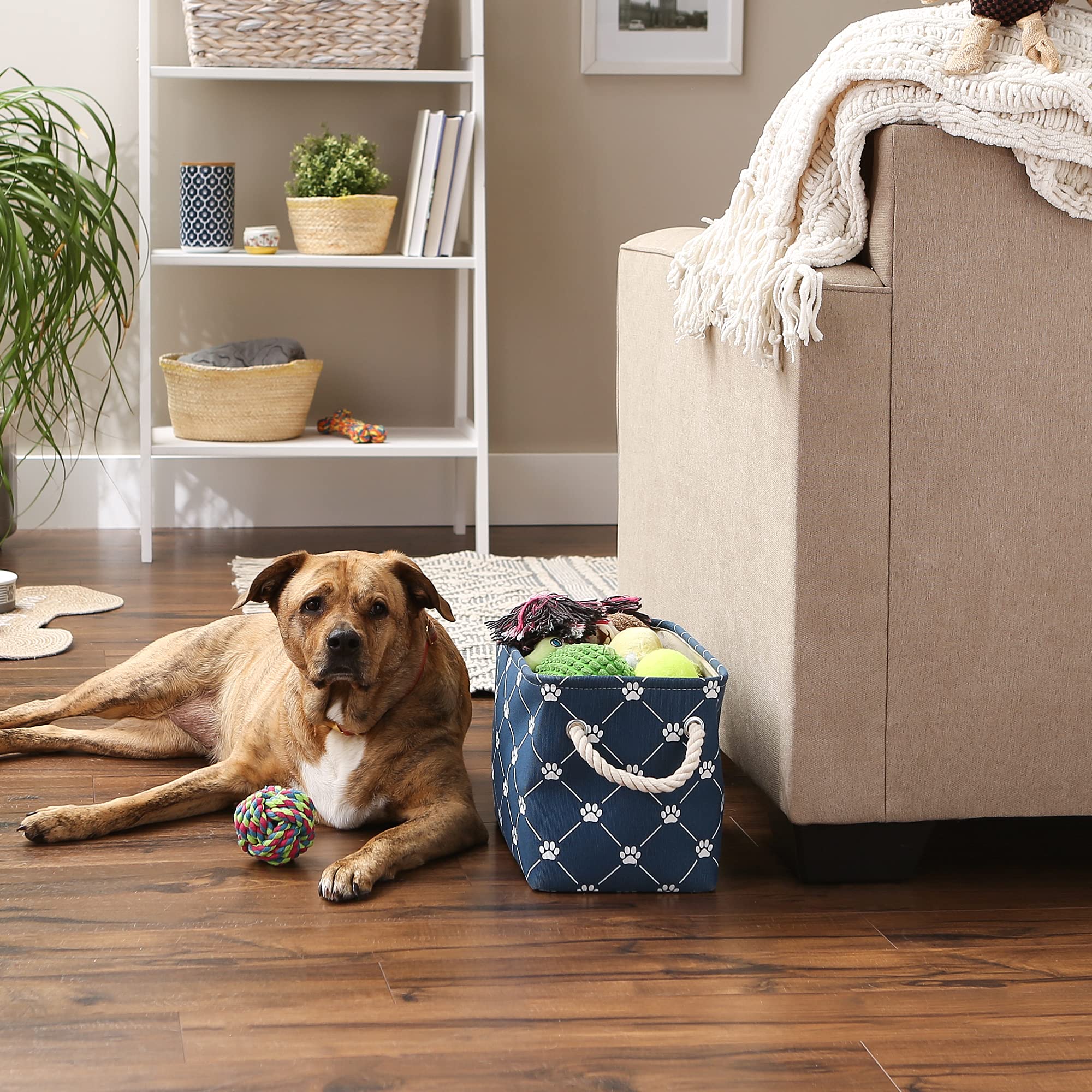 Bone Dry Pet Storage Paw and Bone, Trellis Collection, Small Rectangle, 14x8x9, Navy