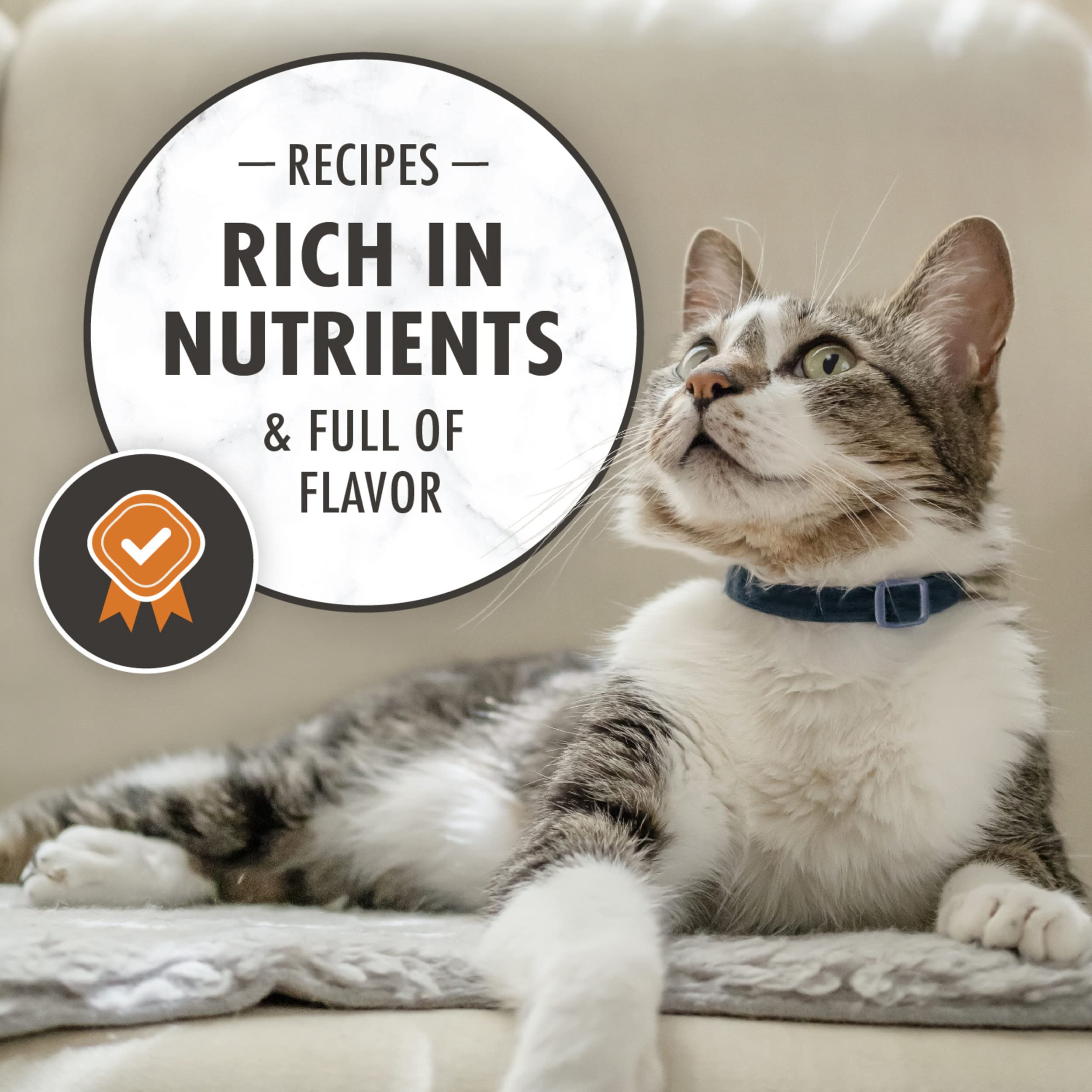 Nutro Wholesome Essentials Adult Dry Cat Food, Chicken & Brown Rice Recipe, 3 lb. Bag