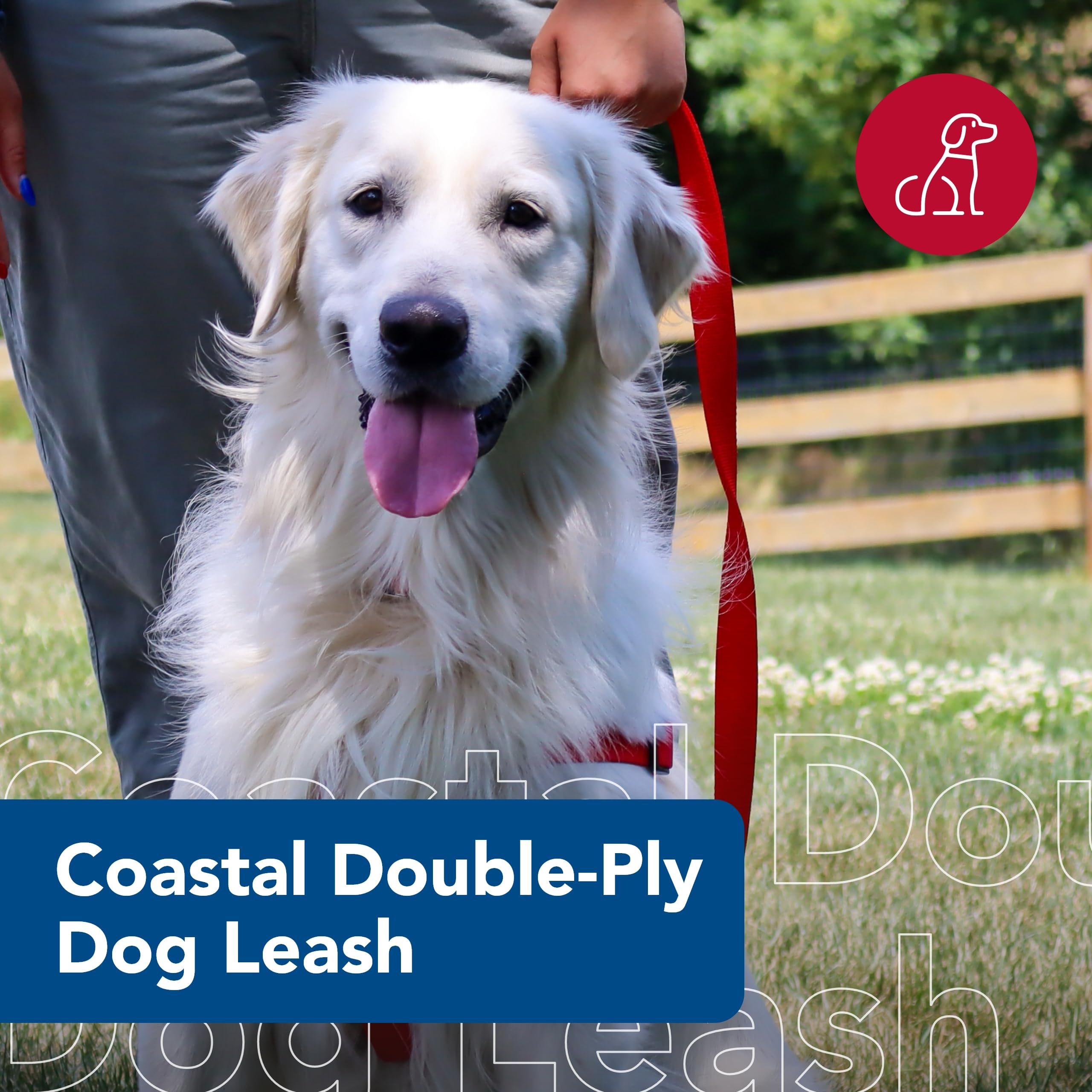 Coastal Pet Double-Ply Dog Leash - Bolt Snap Attachment To Collars And Harnesses - Nylon Dog Walking Leash For Small, Medium And Large Dogs - Red - 1' X 4'