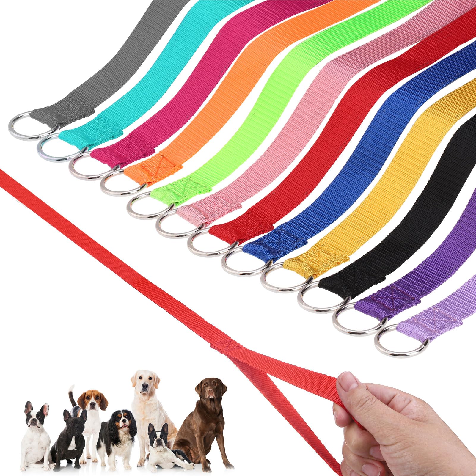 Homimp Slip Lead Dog Leash 6 Ft- 12 Pcs Bulk Colors Kennel Control Leashes For Small Medium Large Dogs Puppy Animal Rescue, Groo