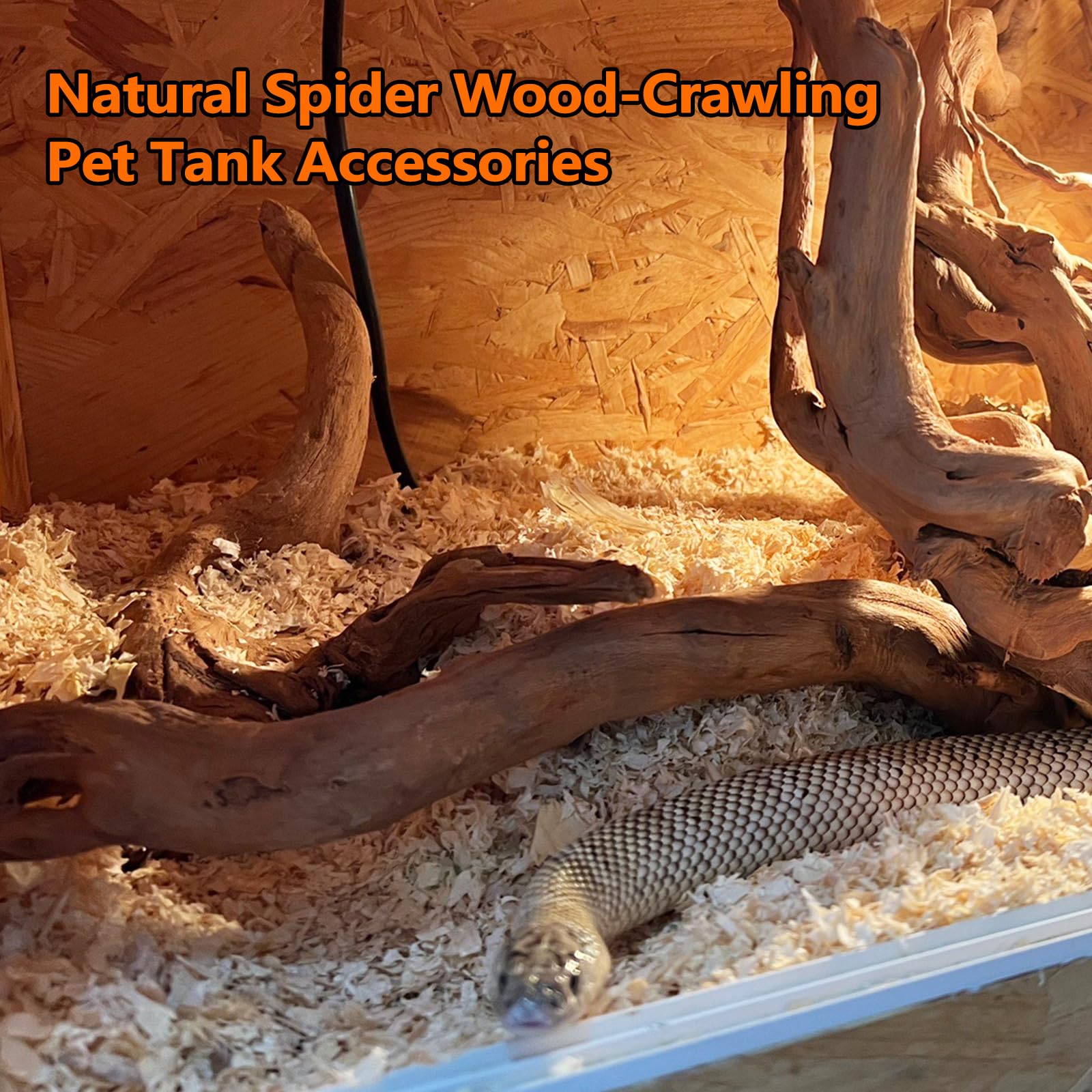 Hamiledyi 2 Pcs Natural Aquarium Driftwood Reptile Spider Wood Ornament Assorted Branches Natural Driftwood Log Fish Tank Decora