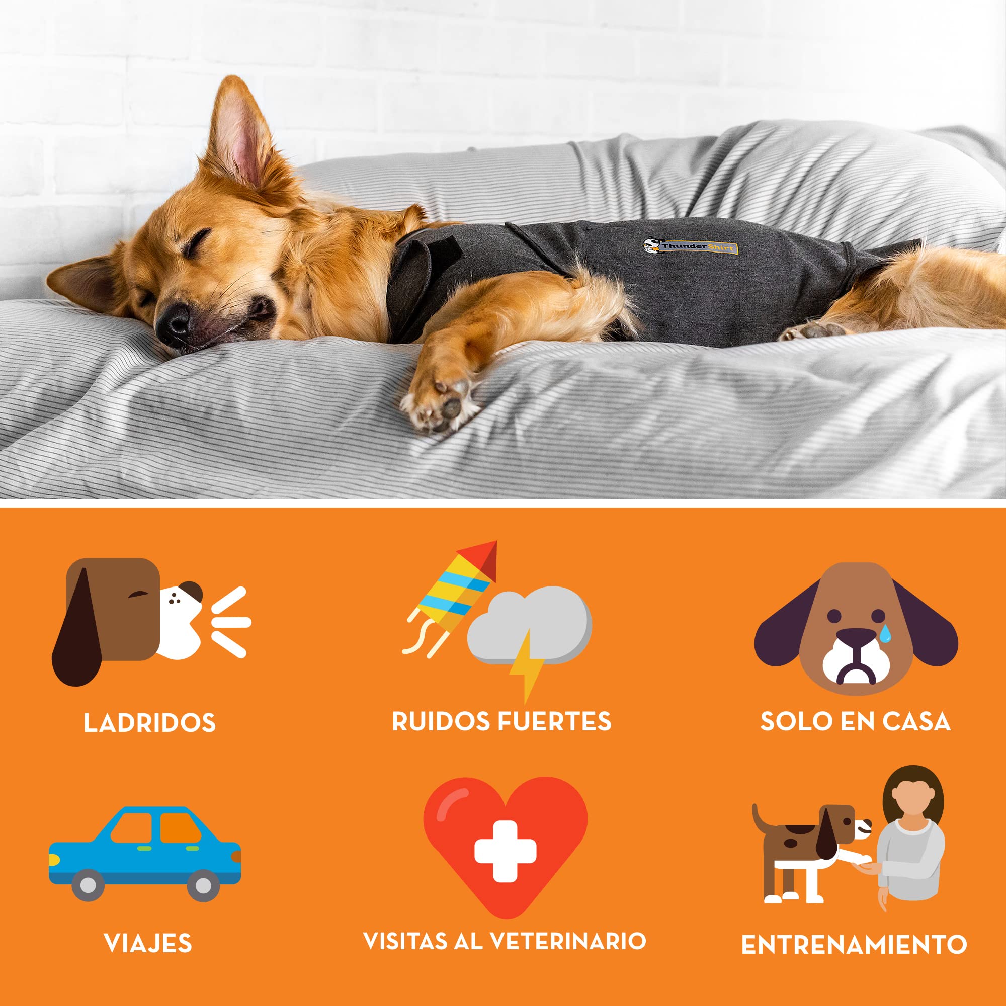 Thundershirt For Dogs, Medium, Heather Gray Classic - Dog Anxiety Relief Calming Vest