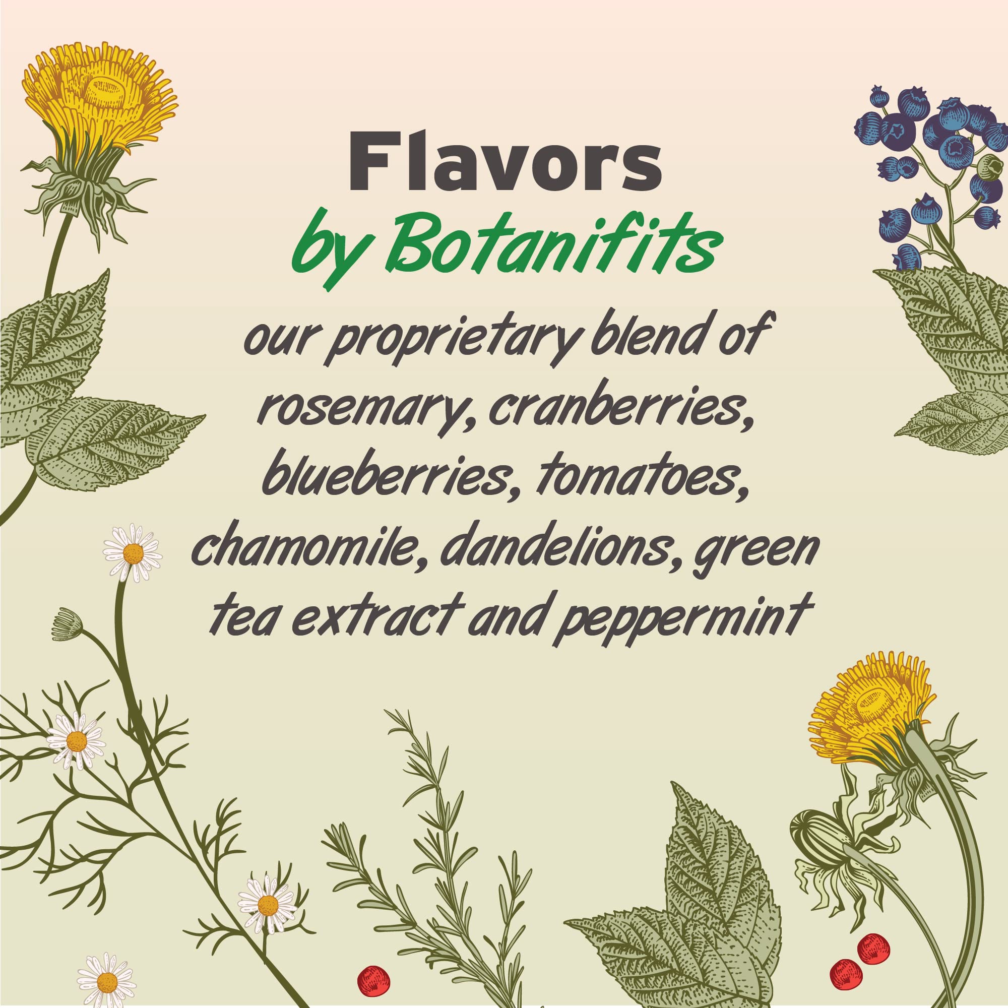 Pet Botanics 16 oz. Pouch Training Reward Freeze Dried, Beef Liver Flavor, with 825 Treats Per Bag, The Choice of Top Trainers