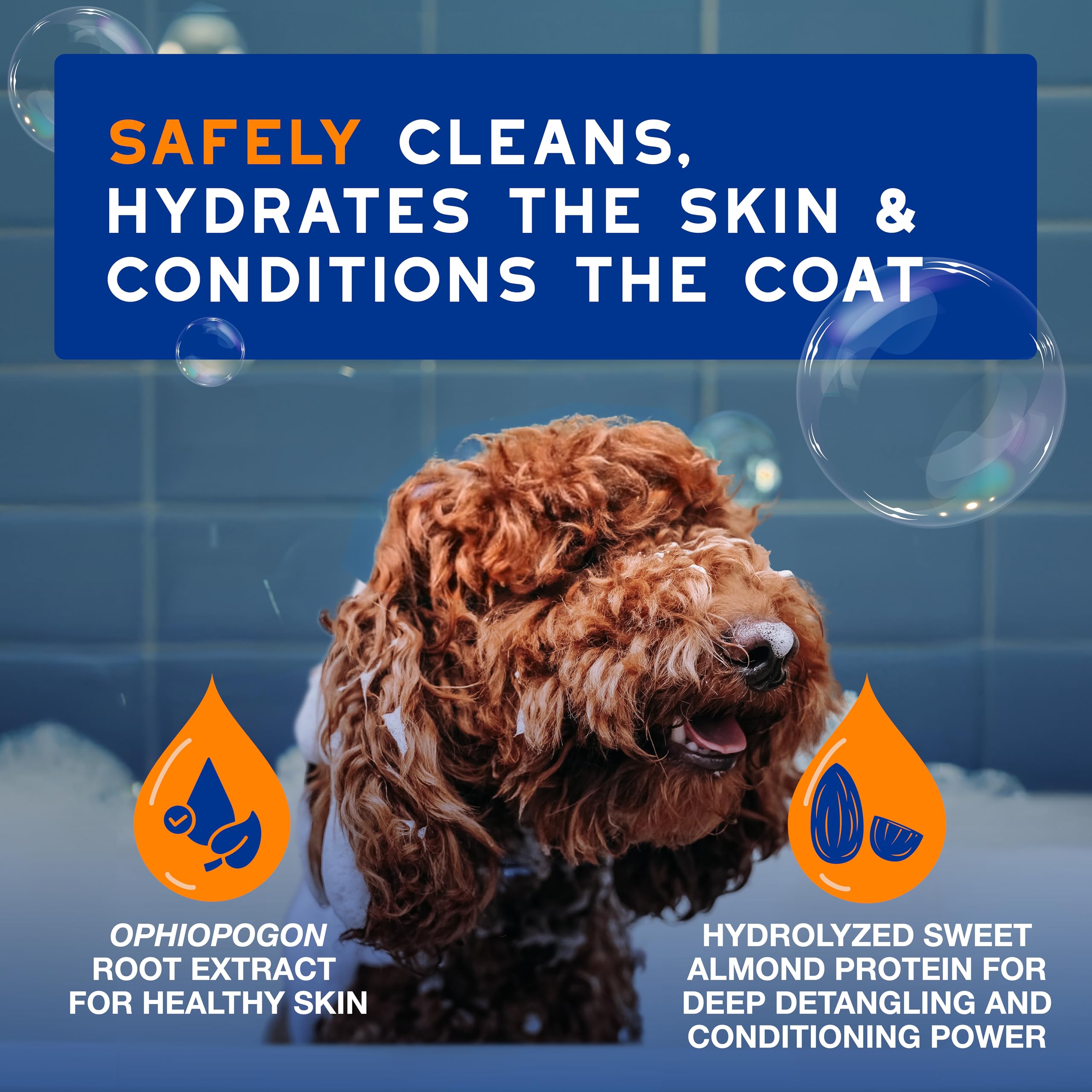 Douxo Skin & Coat Spa - Ultra-Safe 2 In 1 Conditioning Dog Shampoo, 16 Fl Oz, Cleans And Deeply Hydrates The Skin, Enhances The
