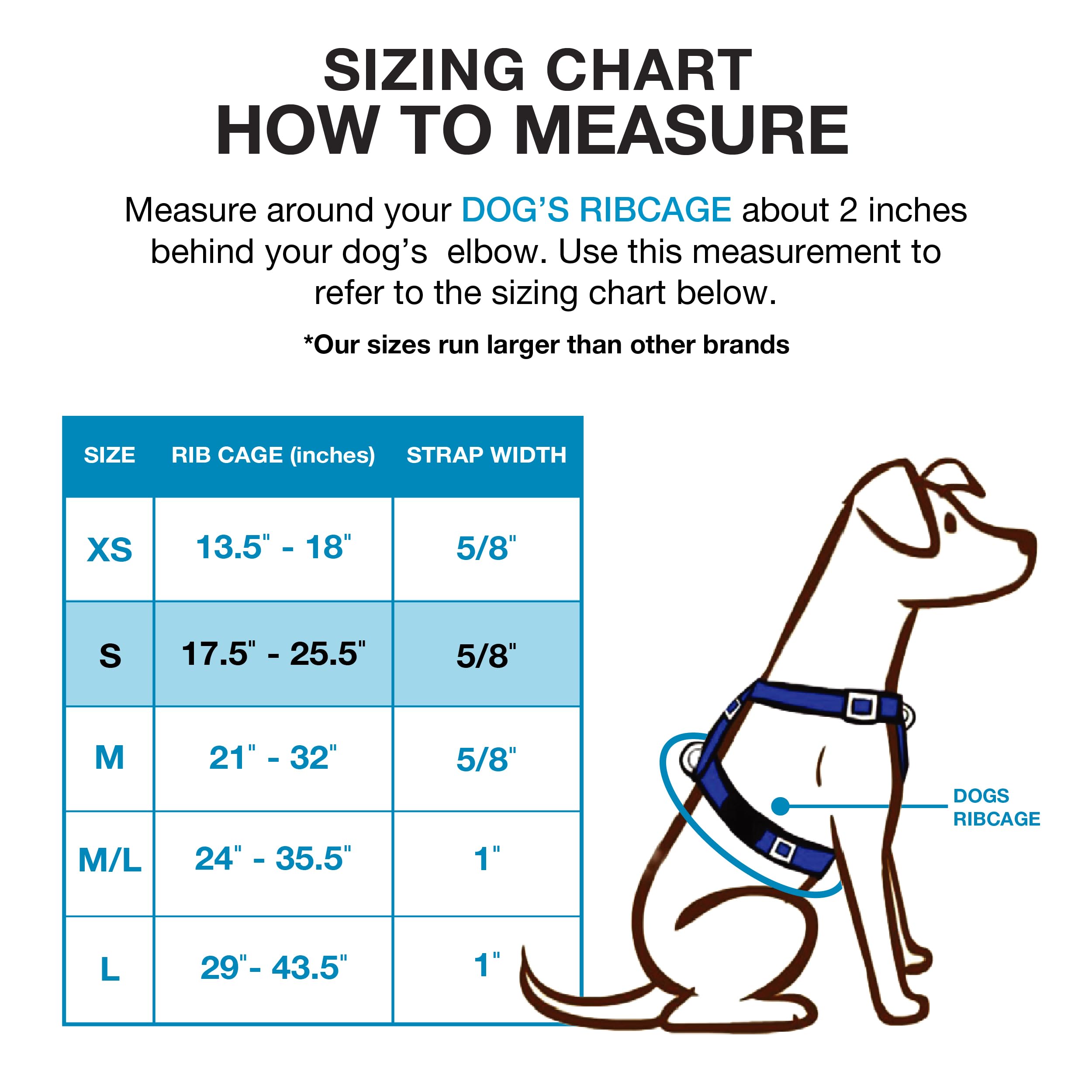 Blue-9 Buckle-Neck Balance Harness, Fully Customizable Fit No-Pull Harness, Ideal For Dog Training And Obedience, Made In The Usa, Blue, Small