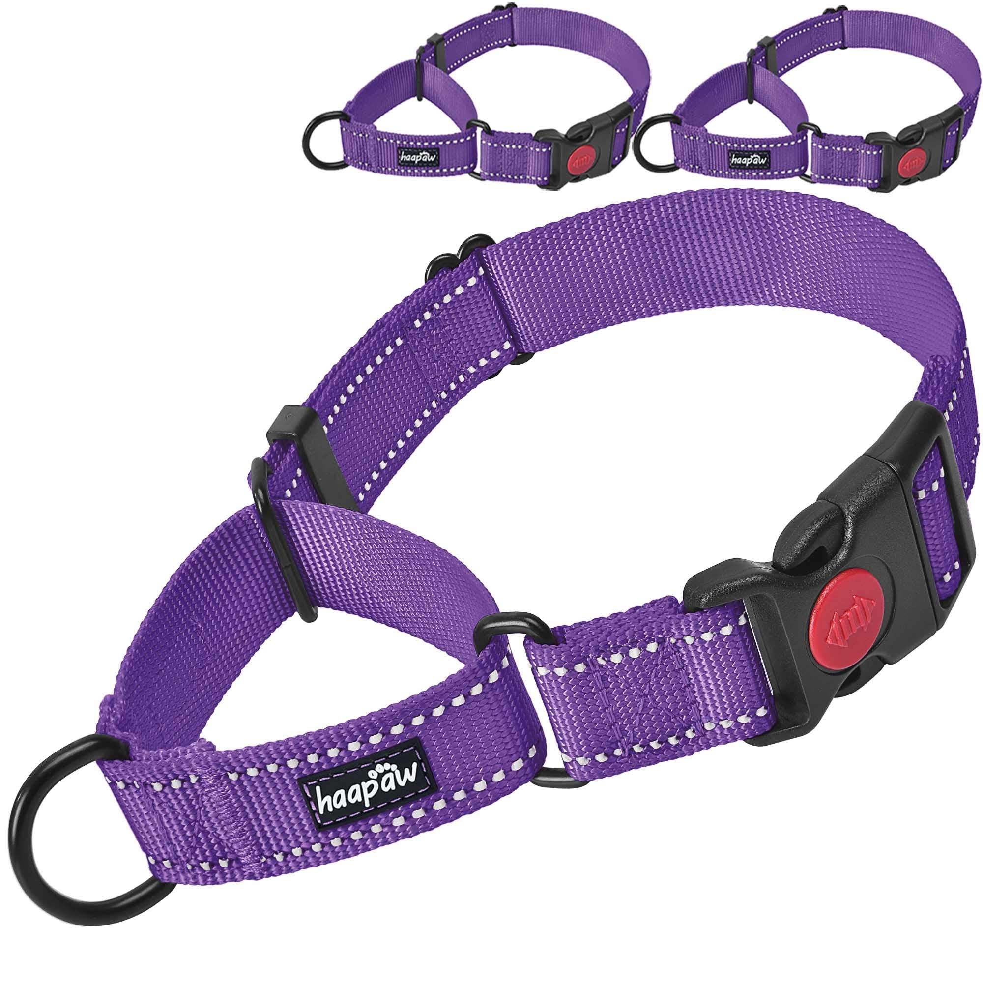 Haapaw 2 Packs Martingale Dog Collar With Quick Release Buckle Reflective Dog Training Collars For Small Medium Large Dogs (Smal