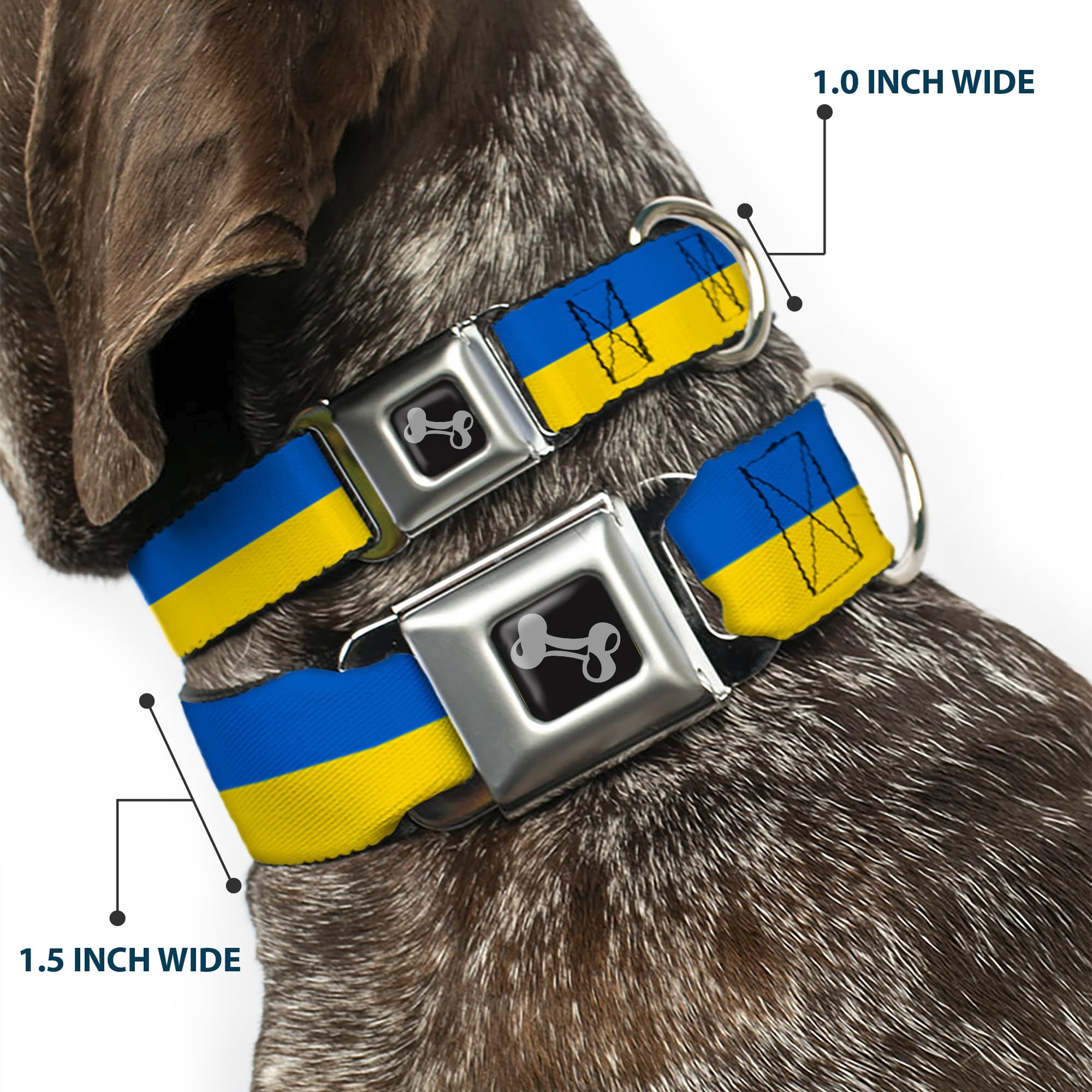 Dog Collar Seatbelt Buckle Ukraine Flag Continuous 15 To 26 Inches 1.0 Inch Wide
