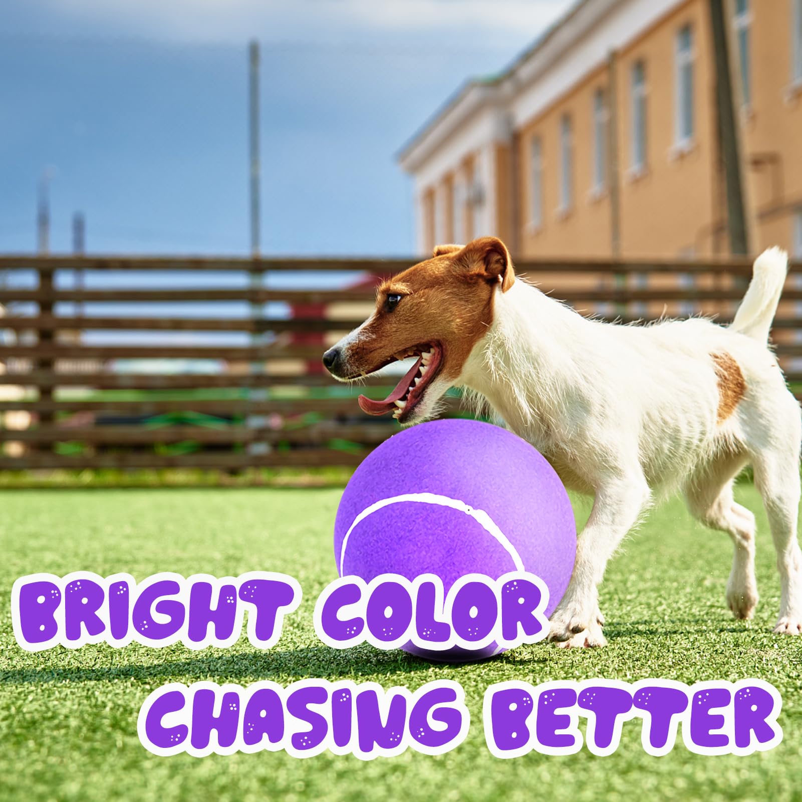 Banfeng Big Tennis Ball For Dogs, Giant Dog Tennis Ball Toy Large Outdoor Sports Gift For Small Medium Large Dog (Purple, 9.5 In