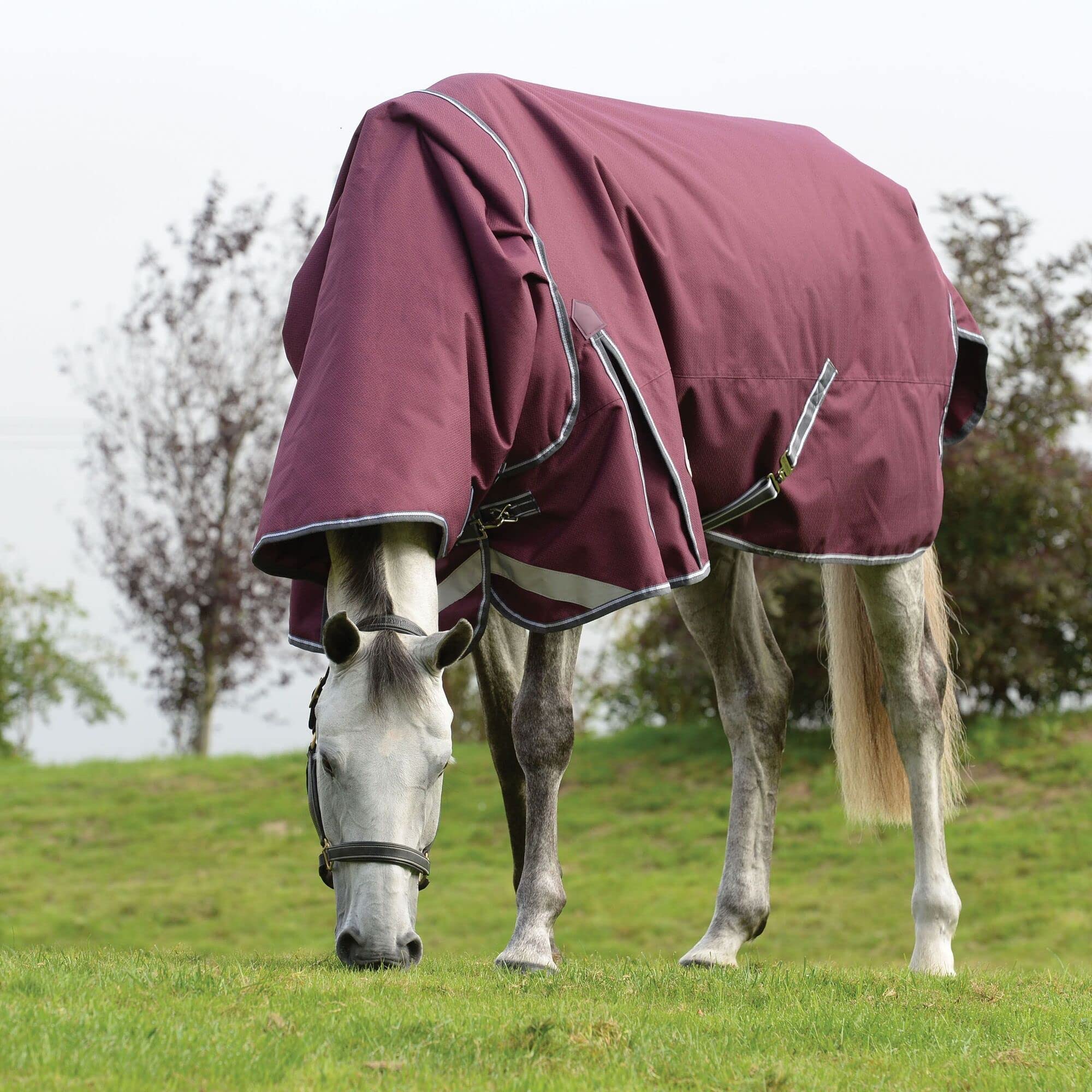 Weatherbeeta Comfitec Plus Dynamic Ii Detach-A-Neck Medium Horse Blanket, Maroon/Grey/White, 72'