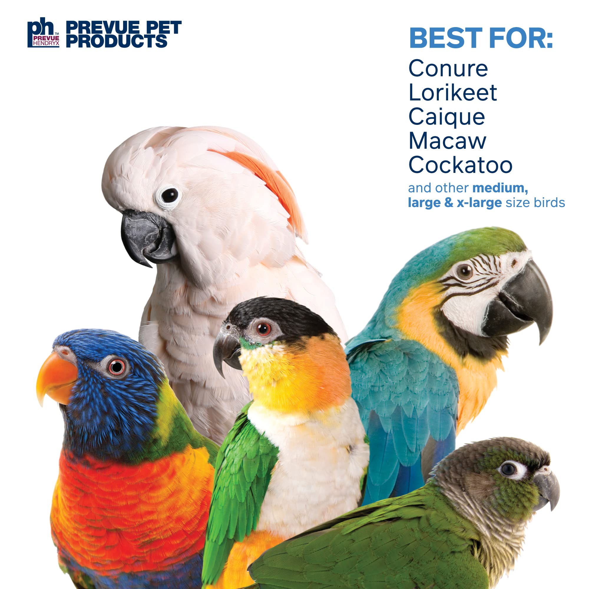 Prevue Pet Products Calypso Creations Dagwood Bird Toy