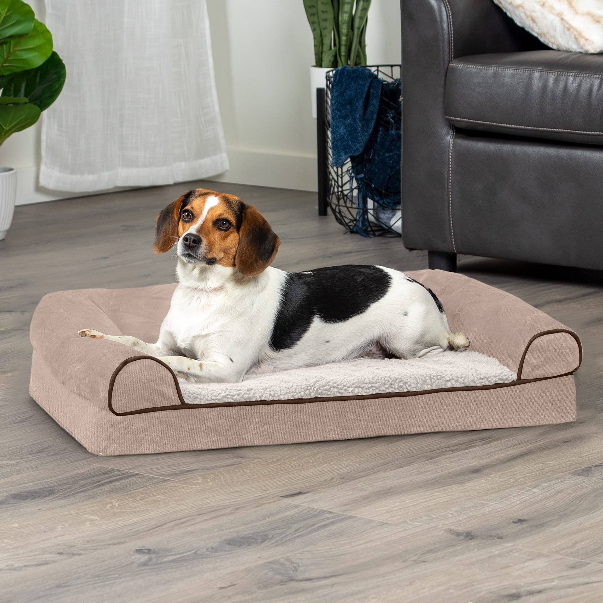 Furhaven Orthopedic Dog Bed For Medium/Small Dogs W/ Removable Bolsters & Washable Cover, For Dogs Up To 35 Lbs - Sherpa & Chenille Sofa - Cream, Medium
