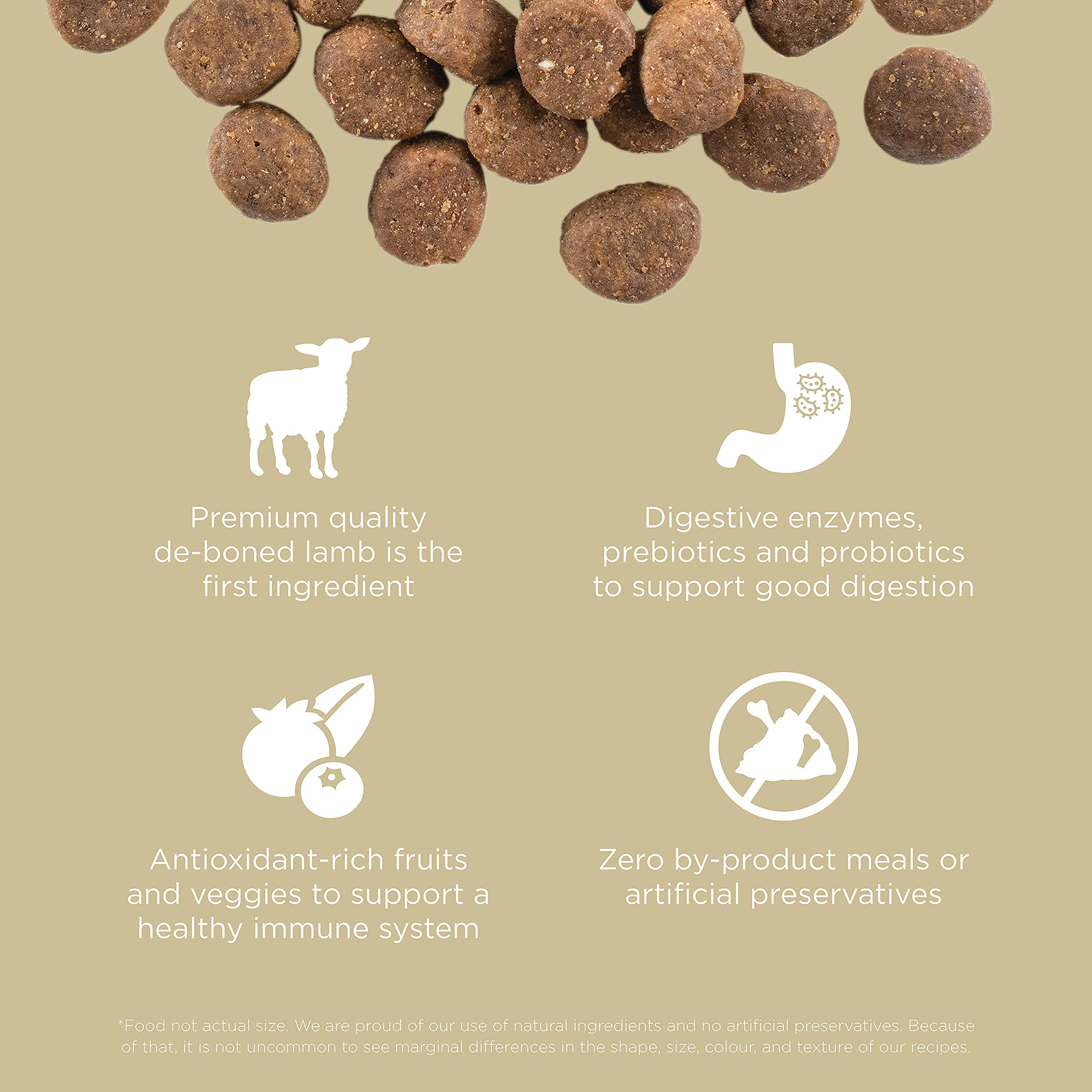 Go! Solutions Carnivore, Grain-Free, Protein Rich Dry Dog Food, Lamb and Wild Boar Recipe, 22 lb Bag