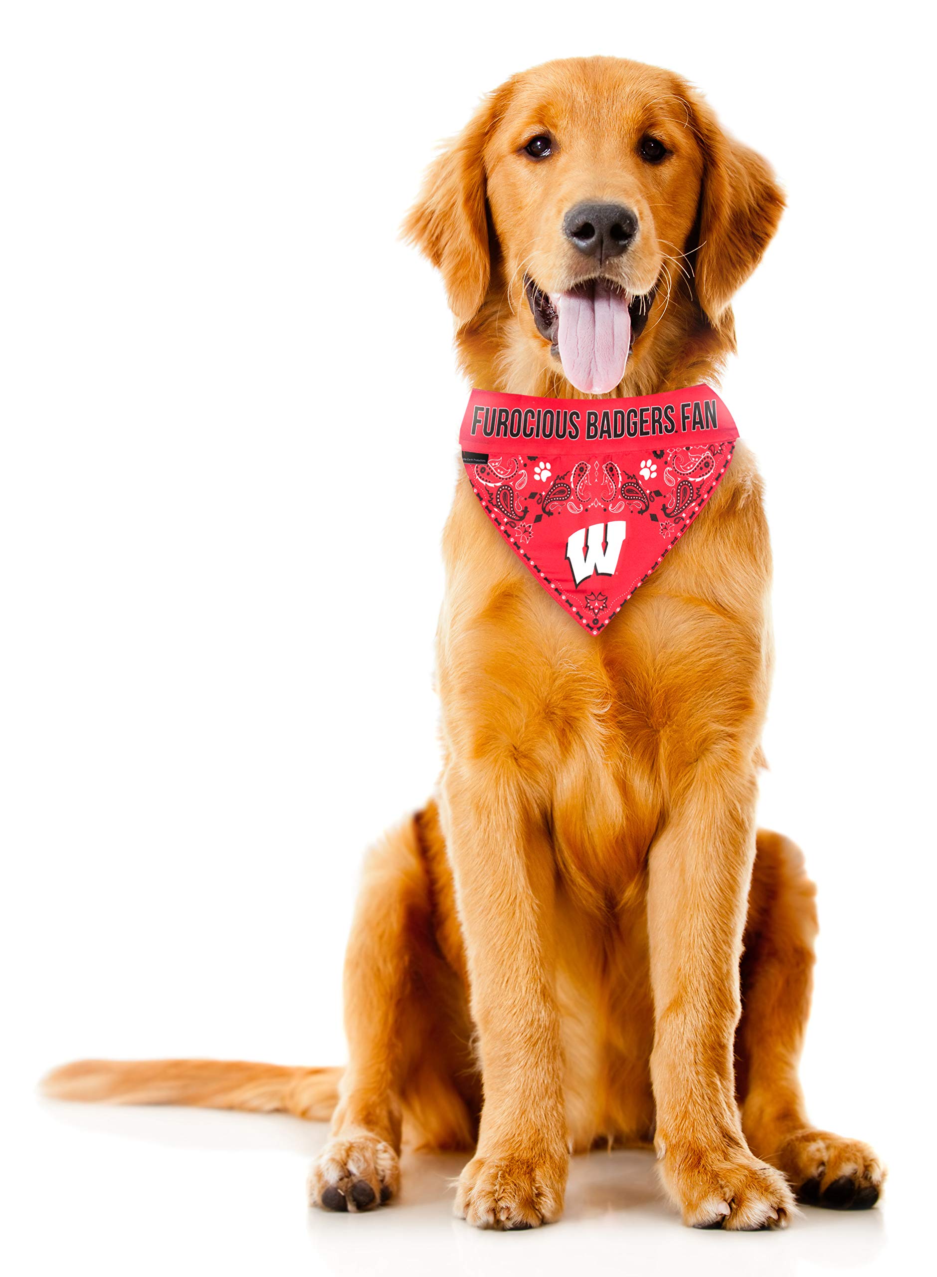 Littlearth Unisex-Adult Ncaa Wisconsin Badgers Pet Bandana, Team Color, Large