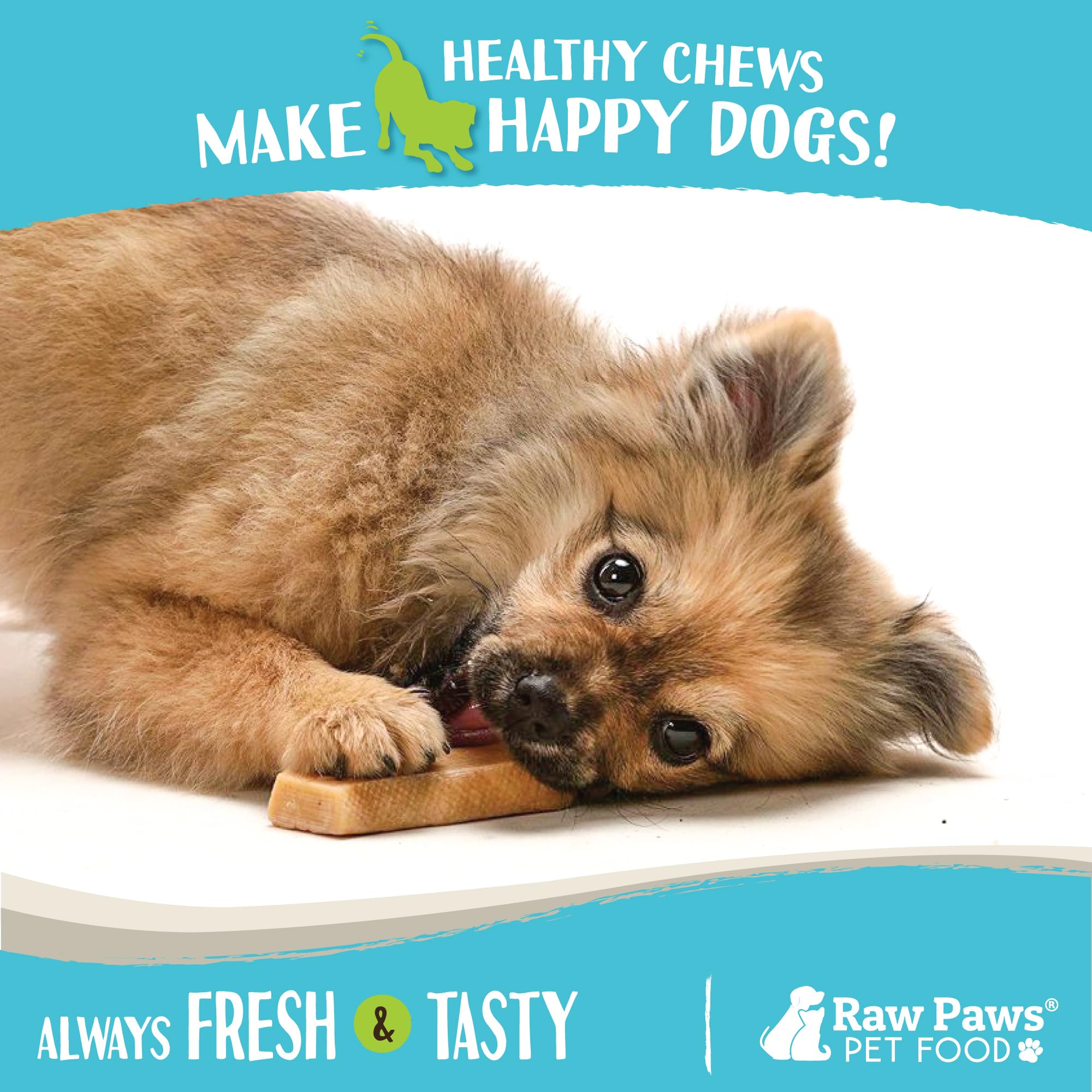 Raw Paws Himalayan Yak Chews for Dogs, Small Chews (10 Count) - Packed in USA - Tibetan Yak Cheese Dog Chew for Small Breeds - H