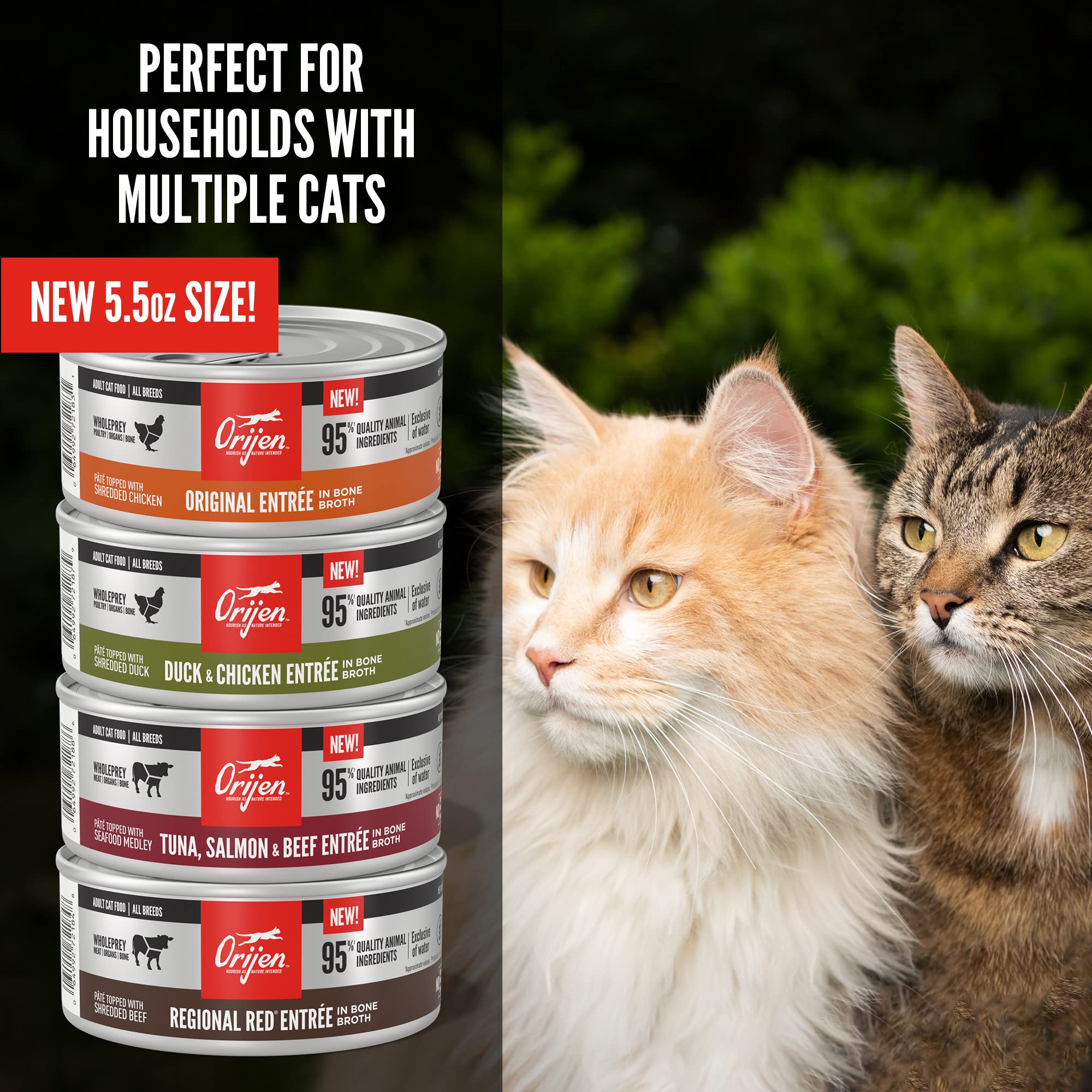 ORIJEN Adult Wet Cat Food, Grain Free Regional RED Entree in Bone Broth, WholePrey Ingredients, 5.5oz (Case of 12)