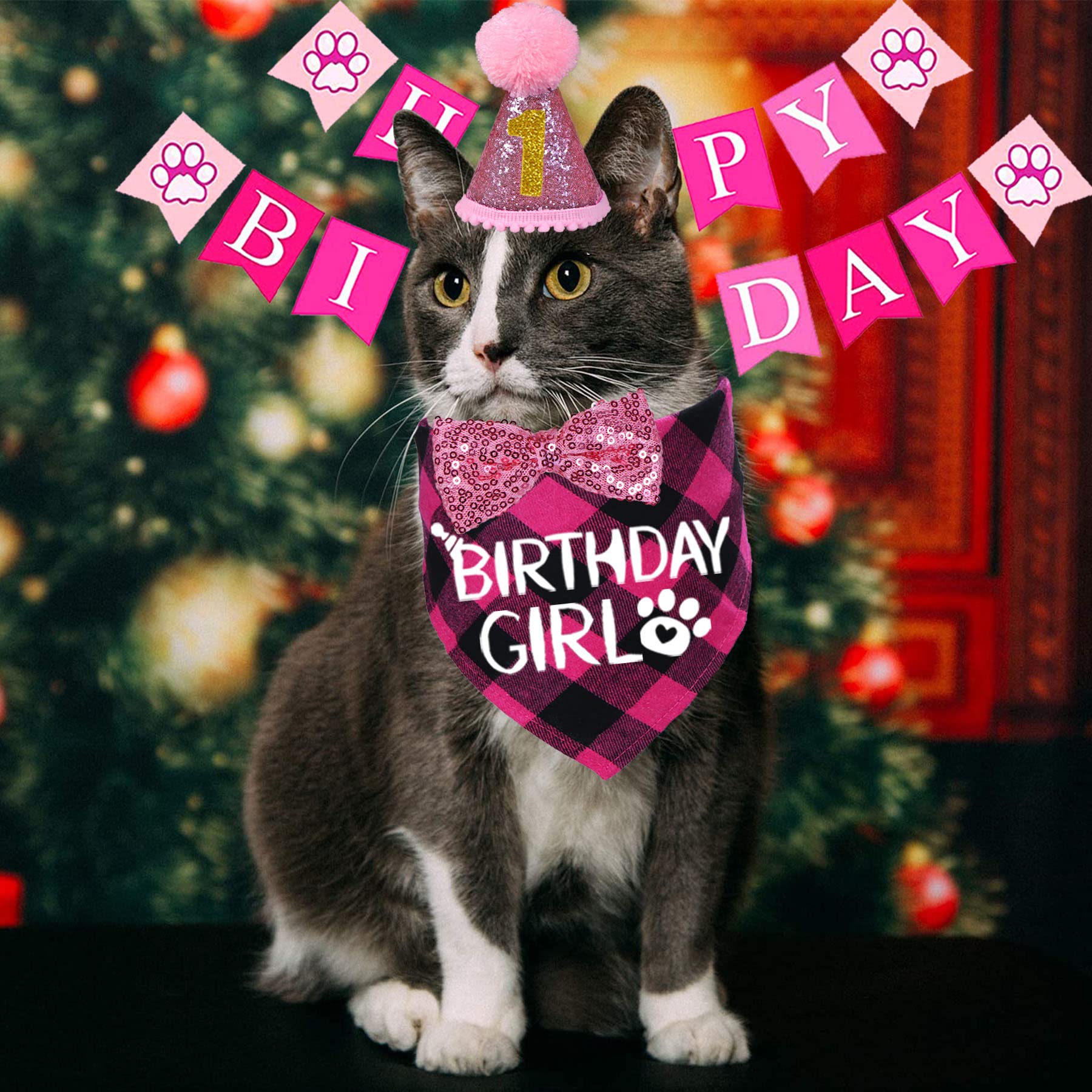 Stmk Cat Birthday Party Supplies, Cat Birthday Hat With Cat Birthday Bandana Bow Tie Collar Birthday Number Banner Cat Birthday Decorations For Cat Kitten Birthday Outfits (Pink)