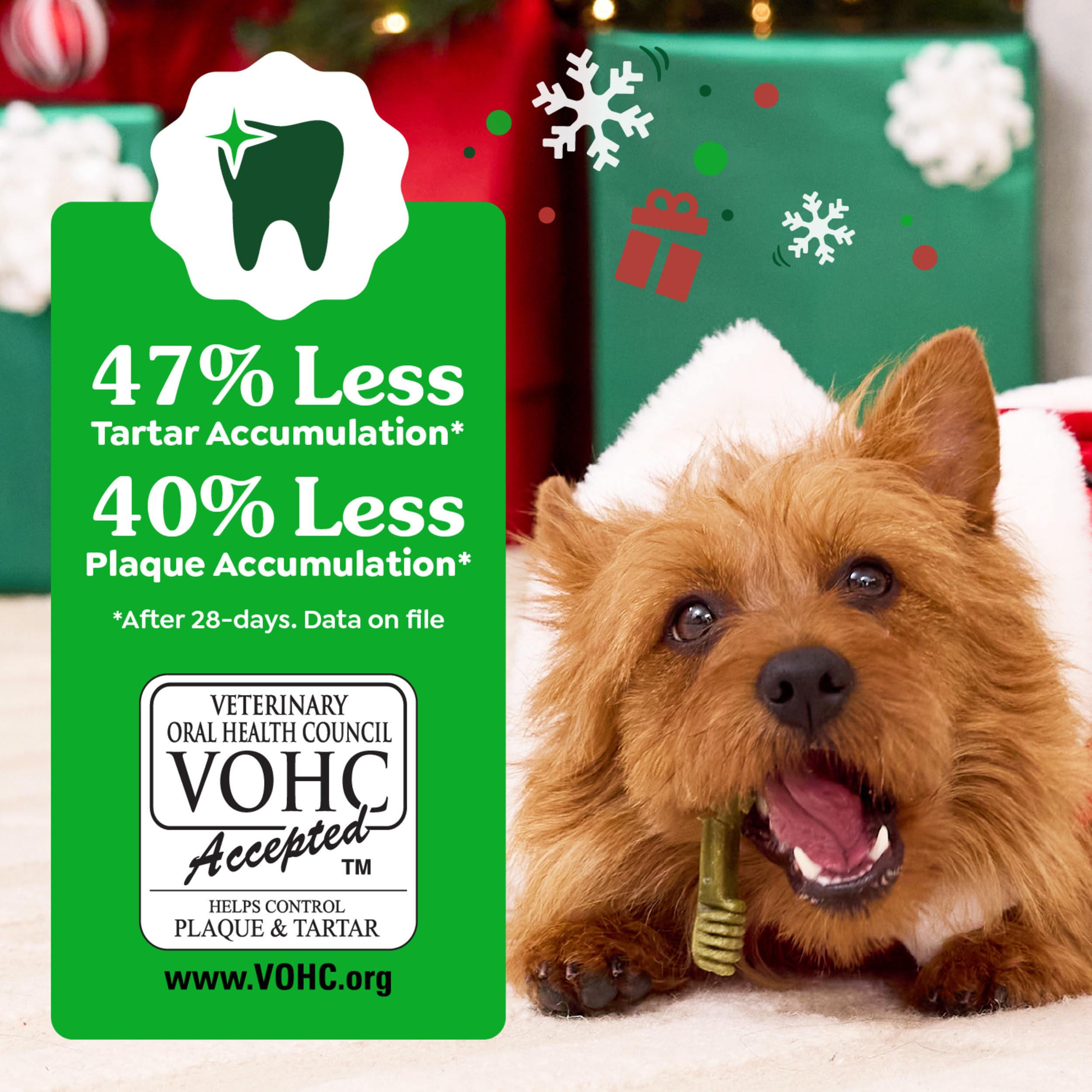 Greenies Regular Dental Dog Treats, Gingerbread Flavor, Limited Edition, 12 oz. Pack (12 Treats)