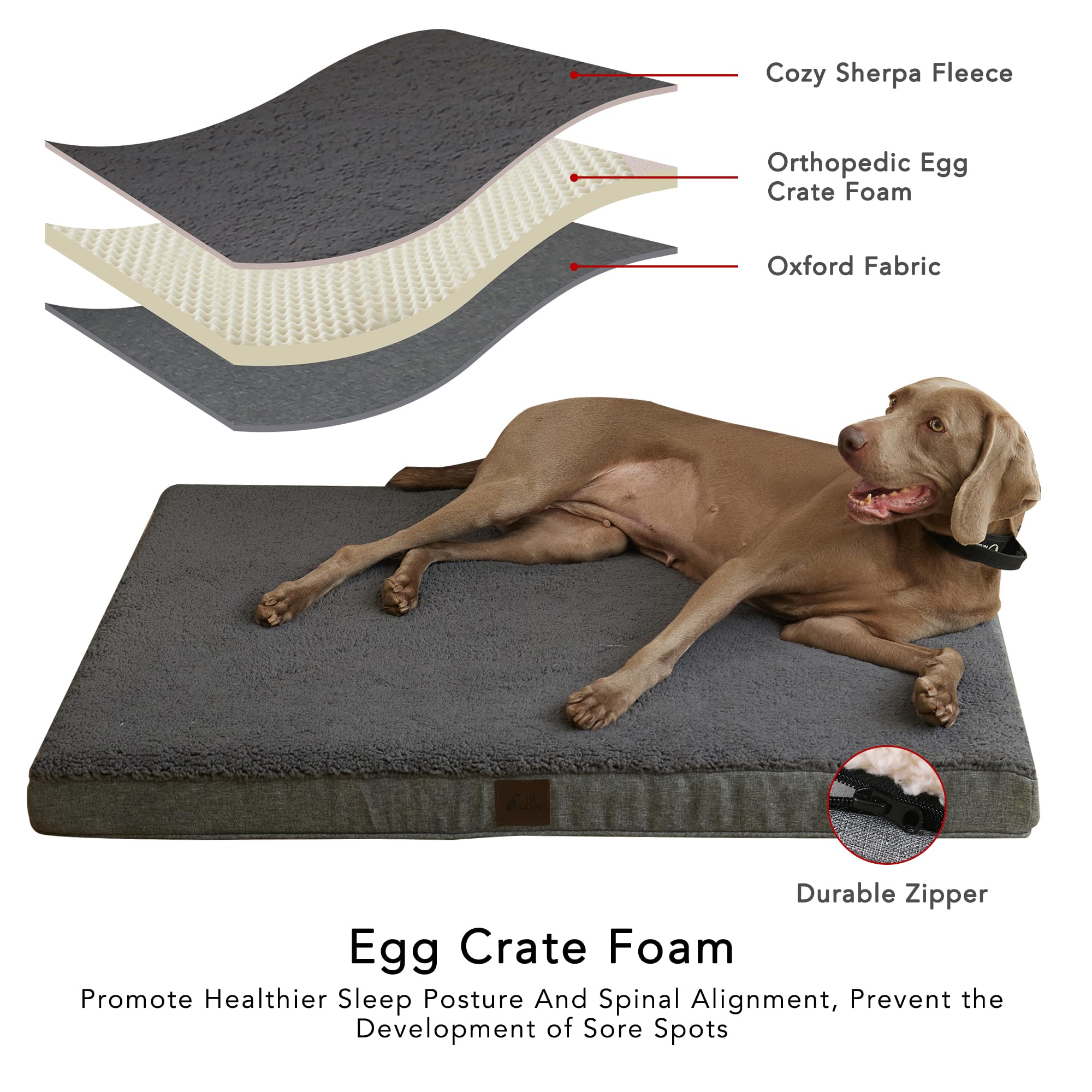 Daysu Dog Bed For Small Dogs, Orthopedic Dog Beds With Removable Washable Cover, Small Egg Crate Foam Pet Bed Mat, Dark Grey, Su