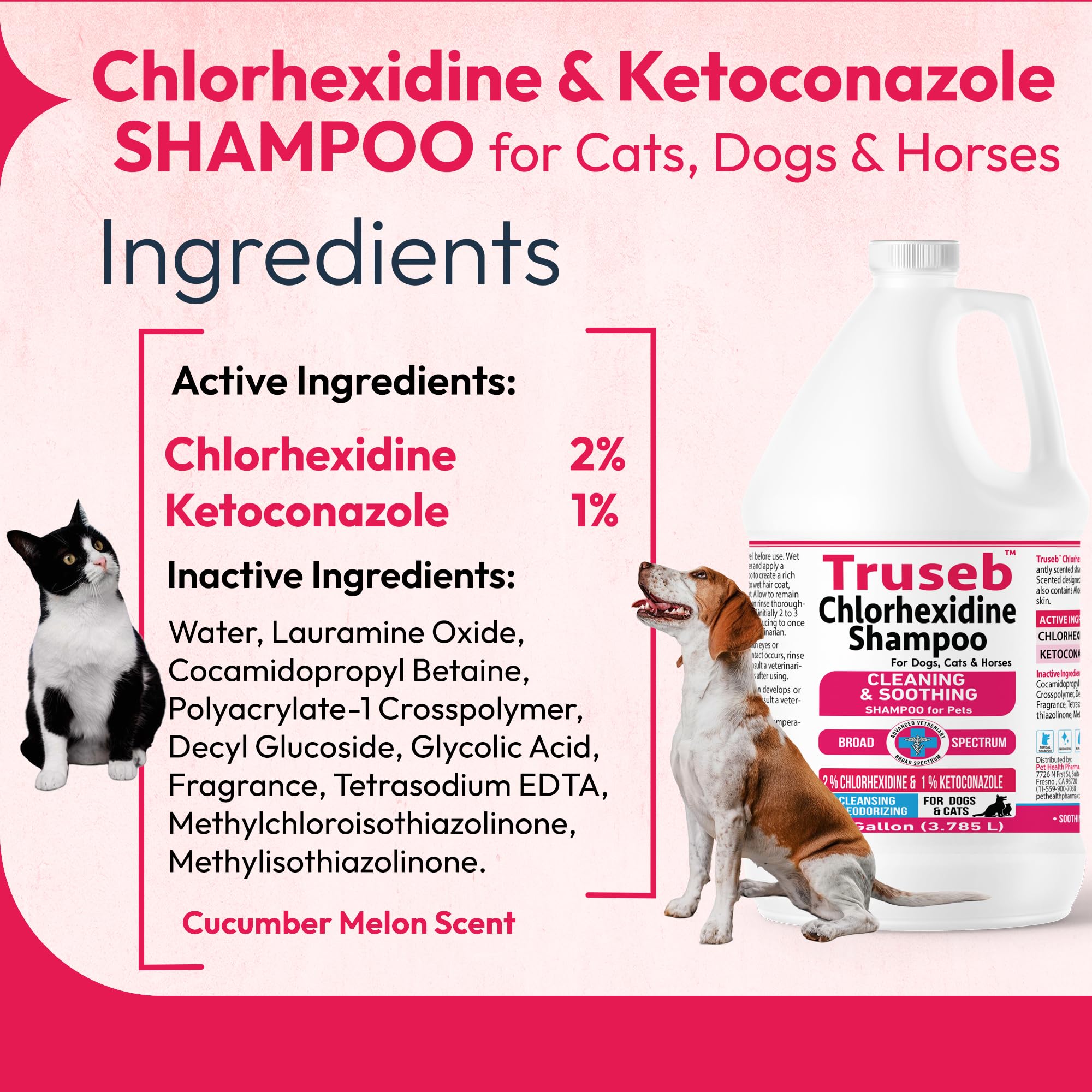 Pet Health Pharma Truseb Shampoo for Dogs, Cats & Horses - Ketoconazole & Chlorhexidine, 1 Gallon, Plastic, Cucumber Melon Scent
