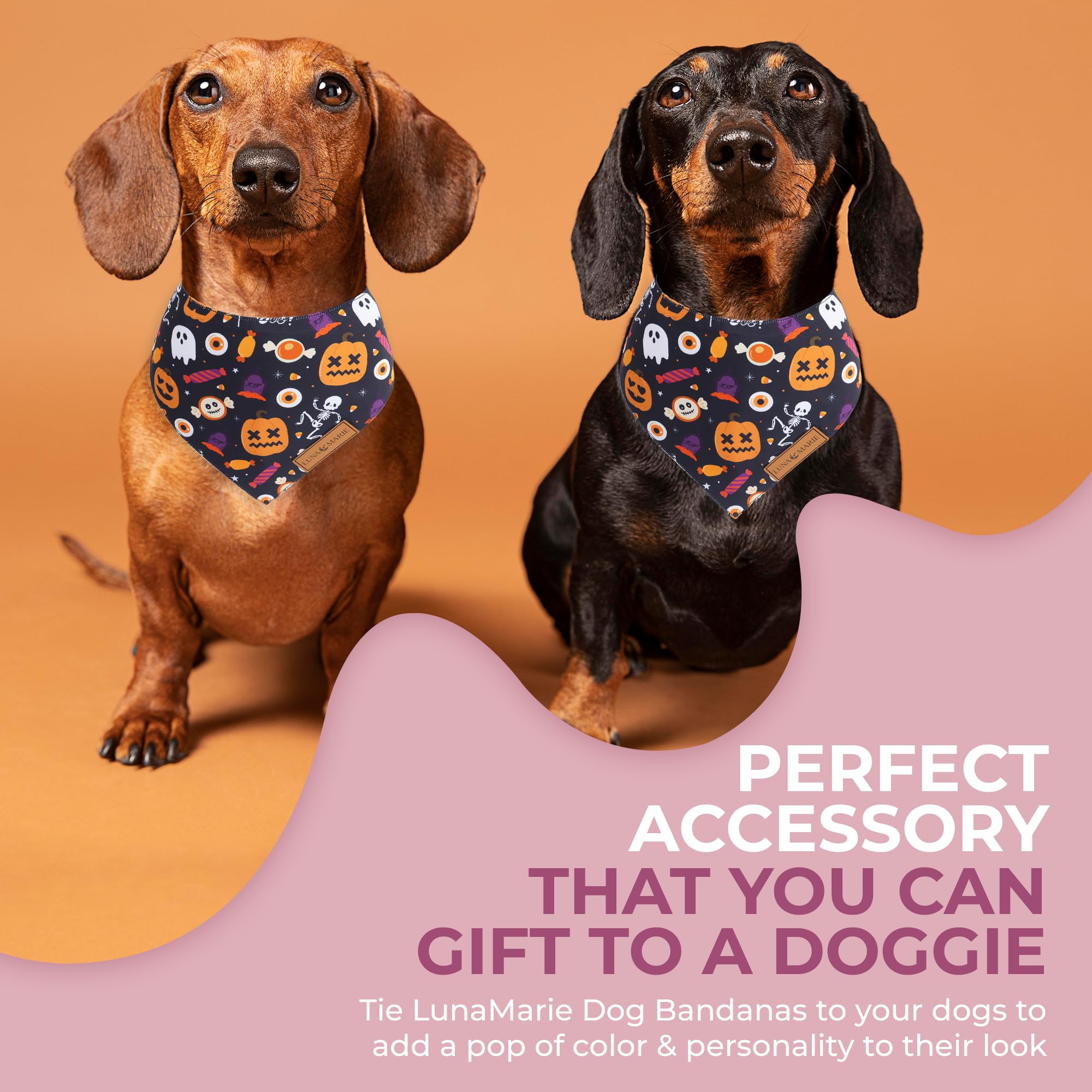 Lunamarie - Luxury Cat And Dog Bandanas - Halloween Designs | Premium Silky Poly Fabric | 100% Handmade Custom Shape Dual Layered Small, Medium, Large Cat Scarf (Trick-Or-Treat, Large)