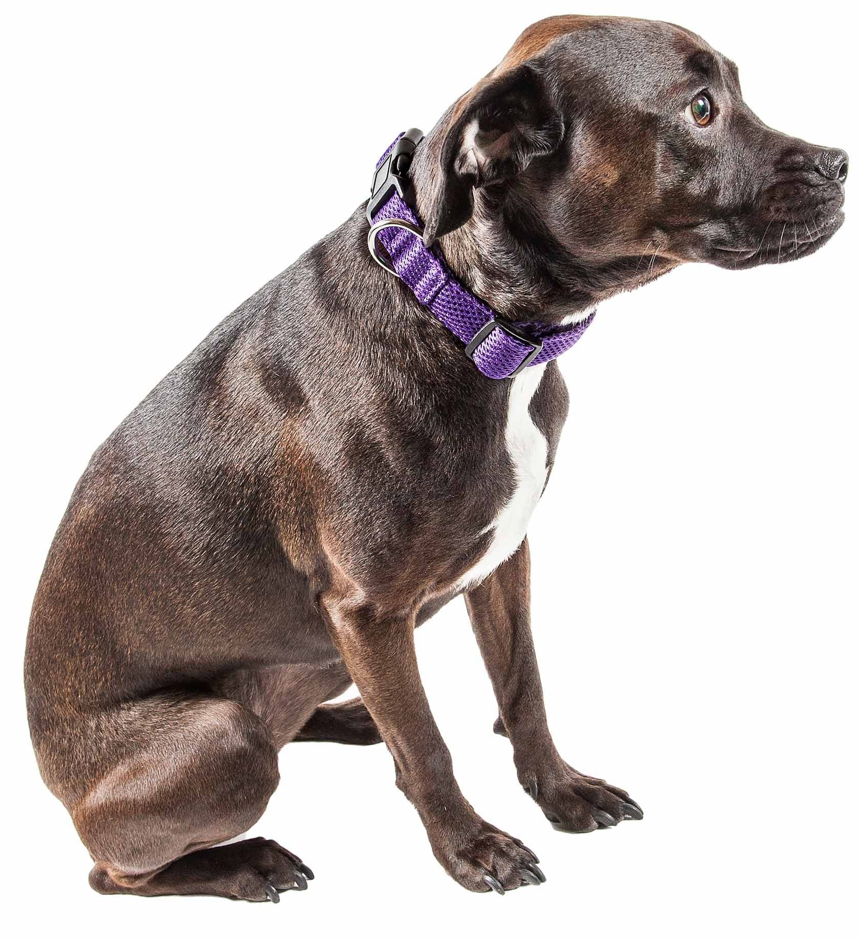 Pet Life Aero Mesh Dual Sided Adjustable Pet Collar, Small, Purple, Polyester, CL14PLSM, Breathable Design