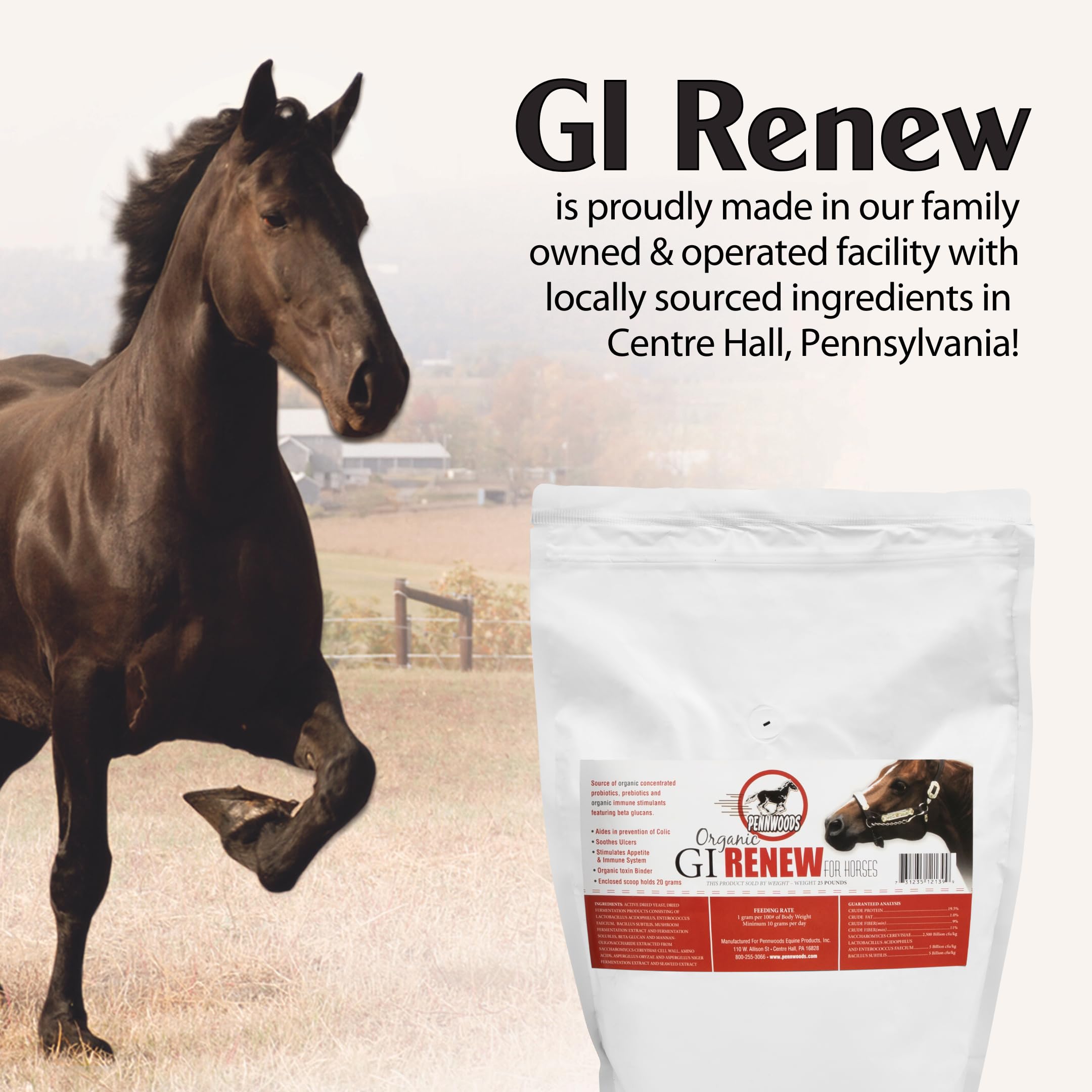 Pennwoods GI Renew, Probiotics for Equine, Immune and Appetite Stimulation, Prebiotics, Digestive Enzymes | Horse Supplement Pro