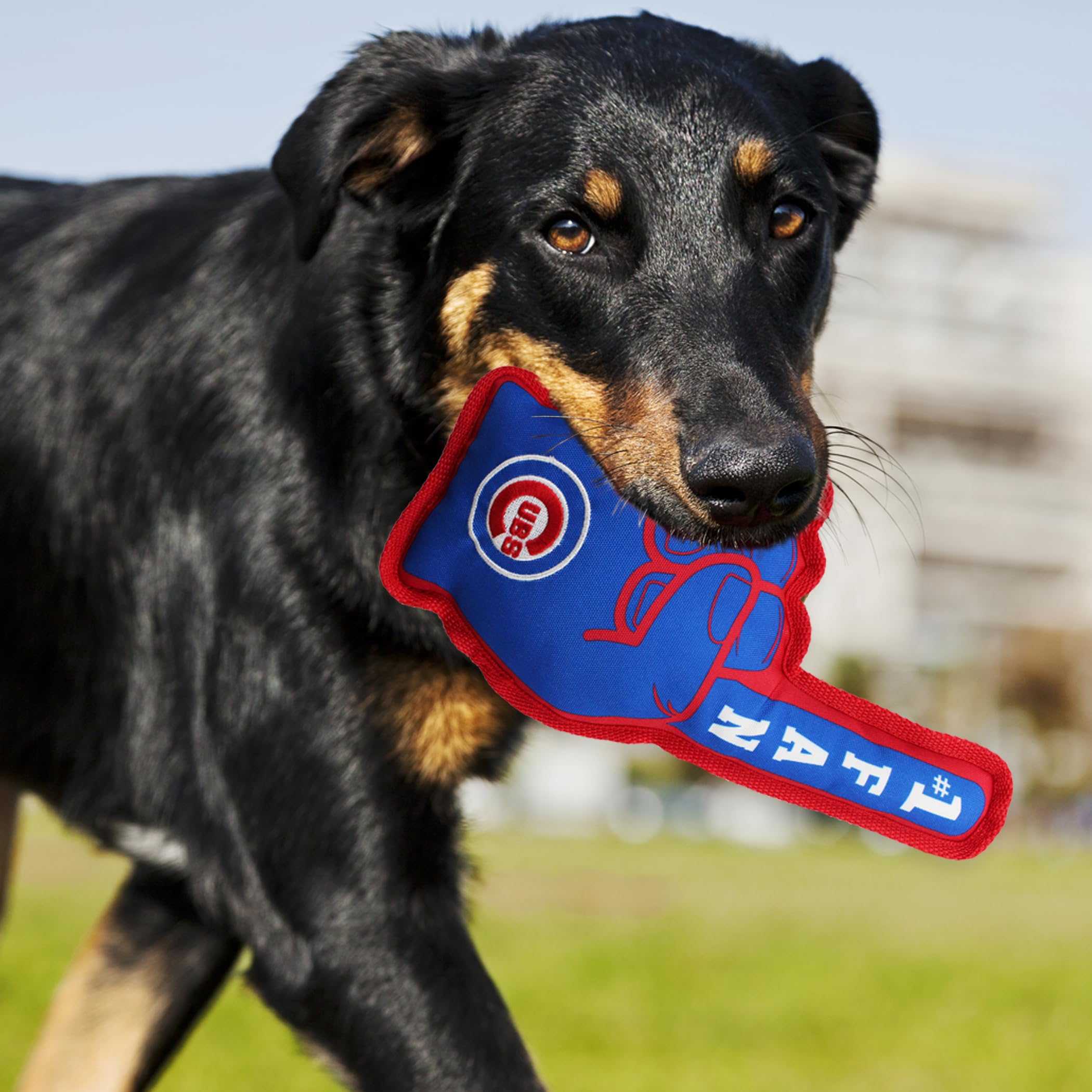 Pets First Mlb Chicago Cubs #1 Fan Toy. Best Sports Dog Toy With Double Stitched Trim And Tough Nylon Material Filled With Chewa