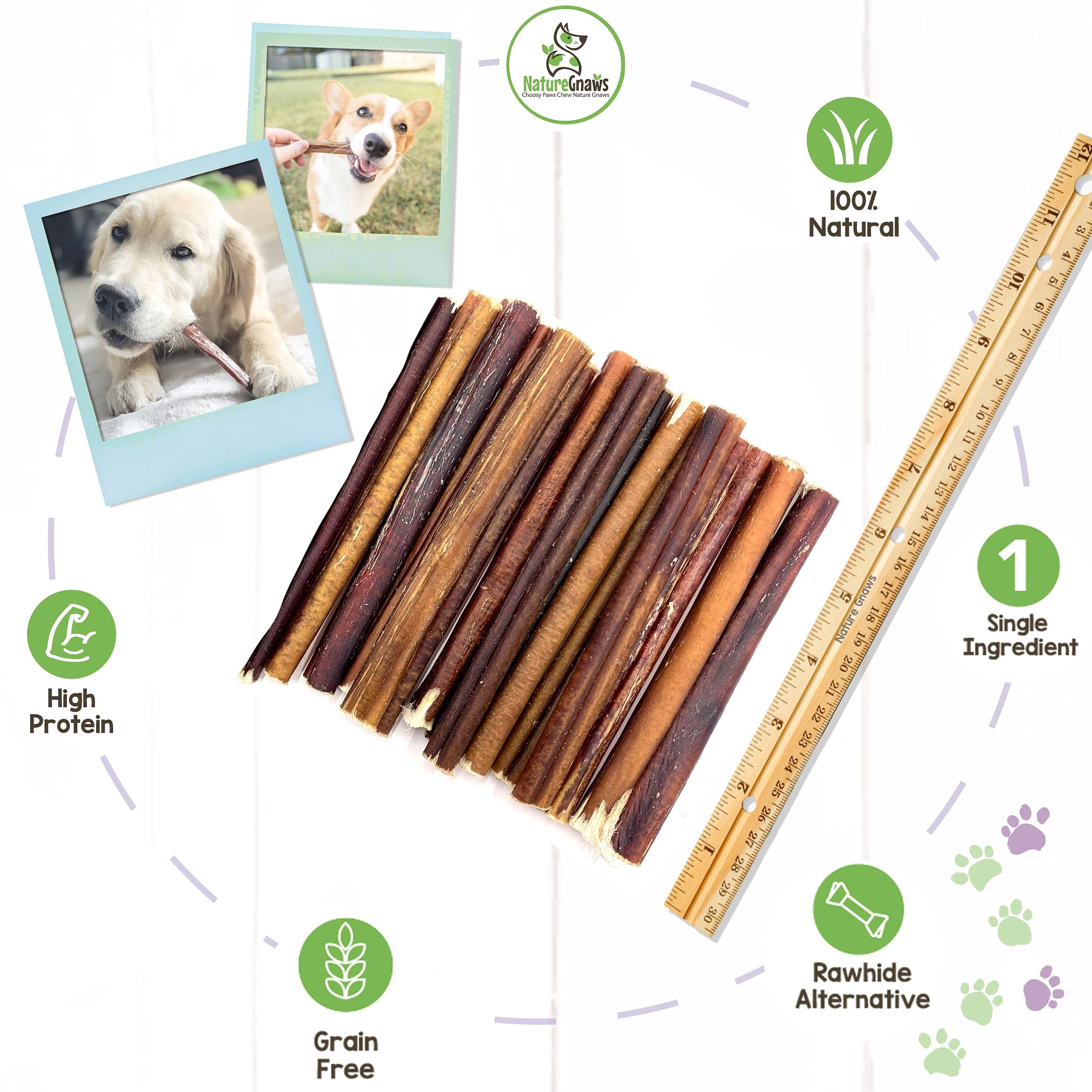 Nature Gnaws Small Bully Sticks for Dogs - Premium Natural Beef Dental Bones - Long Lasting Dog Chew Treats for Small Dogs & Pup