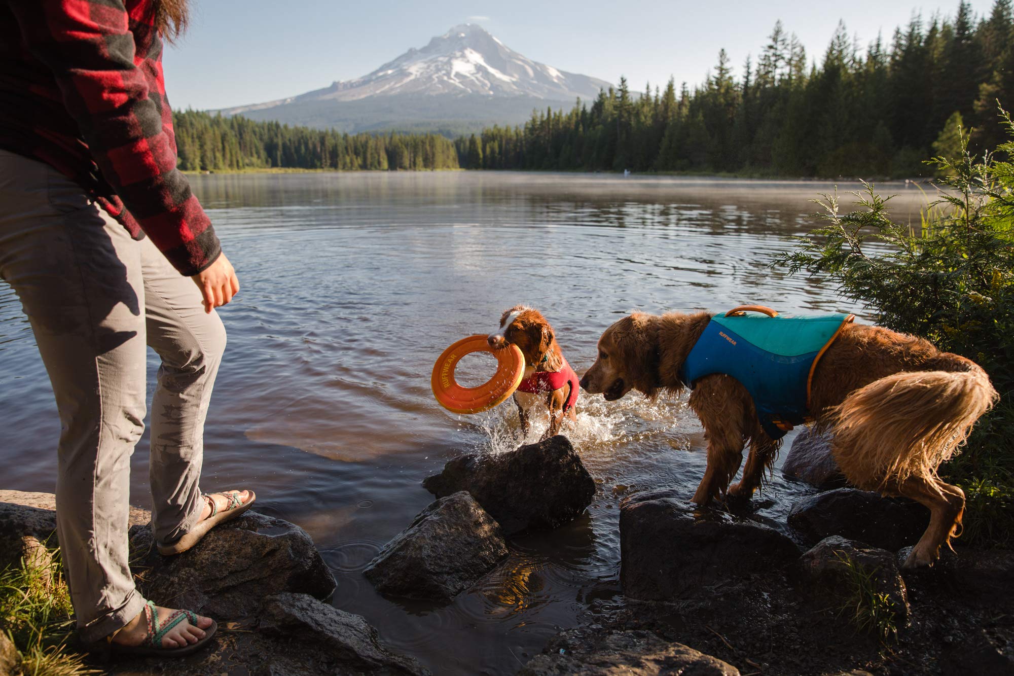 Ruffwear, Hydro Plane Floating Disc for Dogs, Campfire Orange, Large
