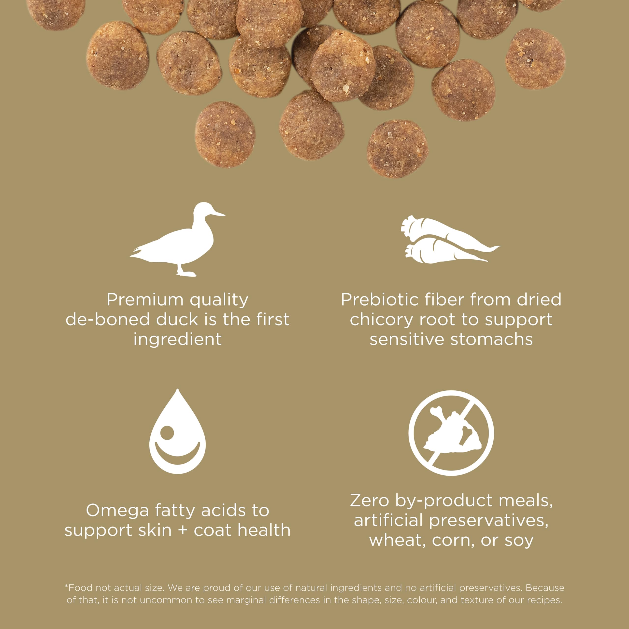 Go! Solutions Duck Grain-Free Dry Dog Food, Sensitive Stomach, 3.5 lb, Chicken-Free Kibble for Puppies, Adults & Seniors