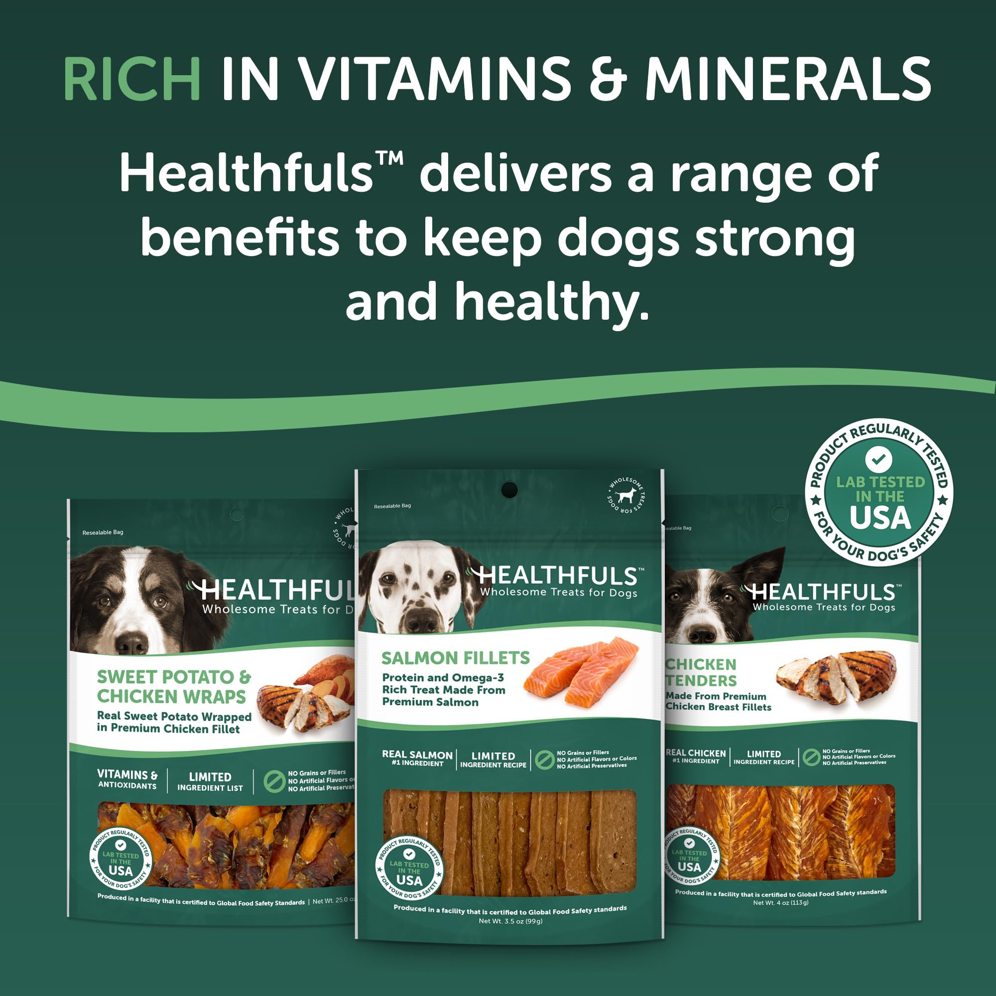 HEALTHFULS Salmon Fillet Dog Treats, 3.5oz - Natural Salmon Flavor, Model 8355