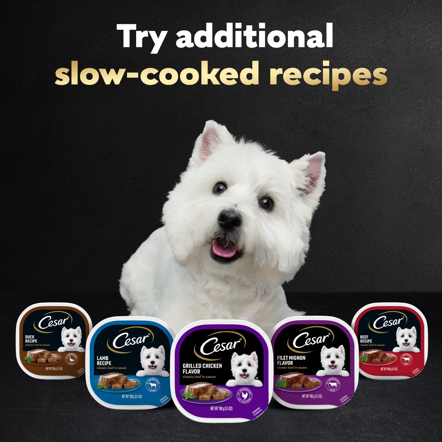 Cesar Wet Dog Food Classic Loaf in Sauce Grilled Chicken Flavor, 3.5 oz. Easy Peel Trays (24 Count, Pack of 1)