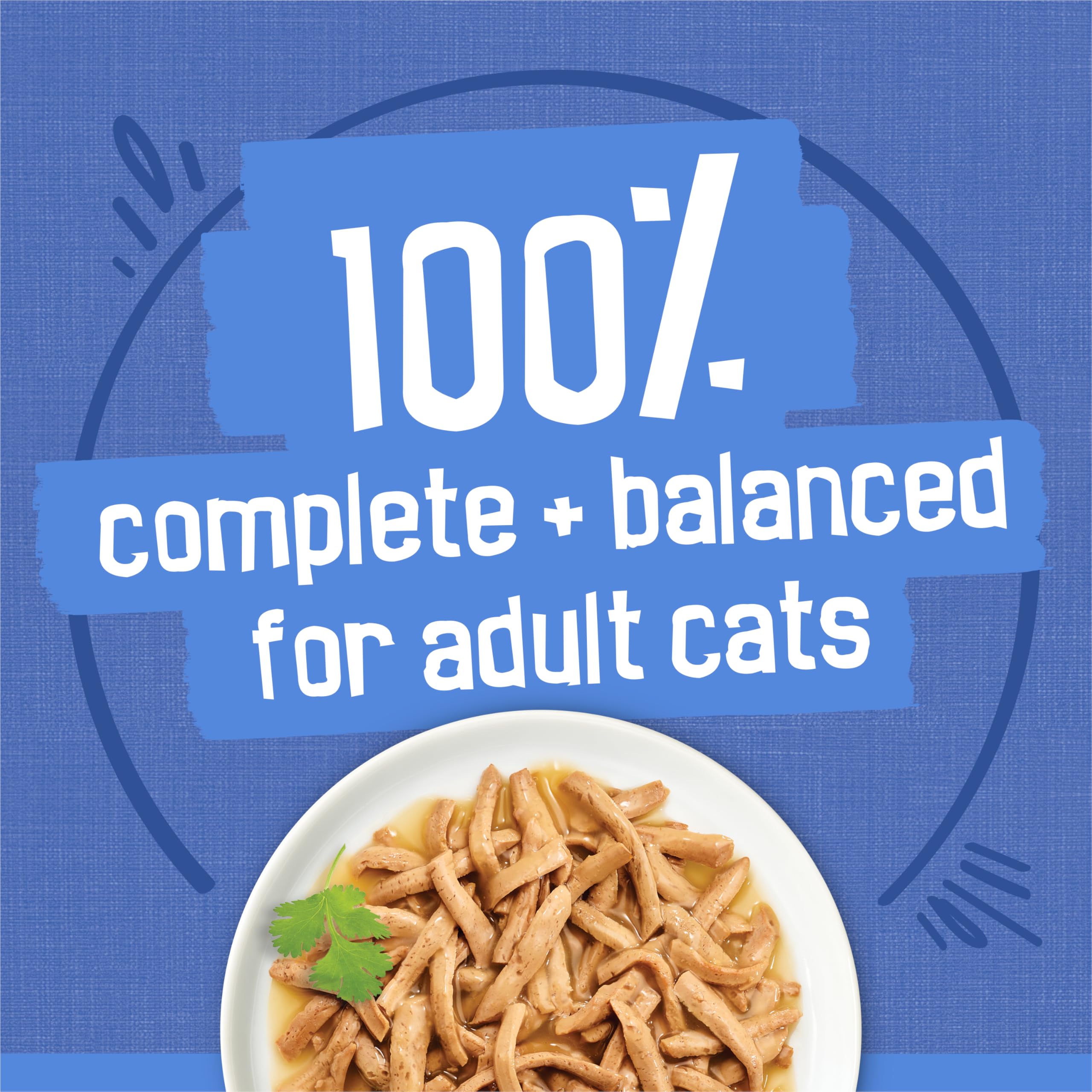 Purina Friskies Gravy Wet Cat Food Variety Pack, Shreds With Beef, With Chicken, and Turkey and Cheese Dinner - (Pack of 24) 5.5