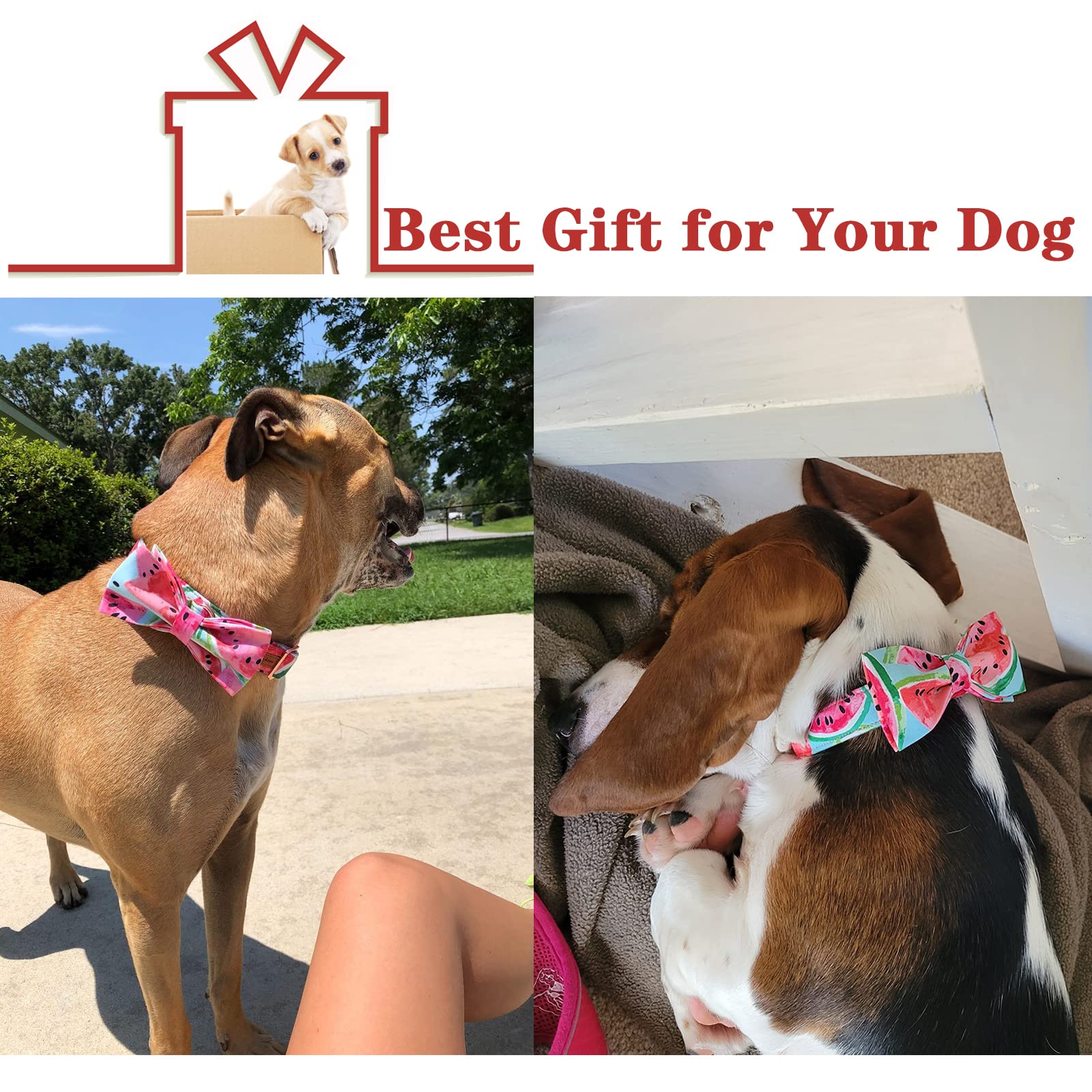 Unique Style Paws Bowtie Dog Collar Cotton Watermelon Collar Adjustable Summer Collar For Small Medium Large Dogs - Xl