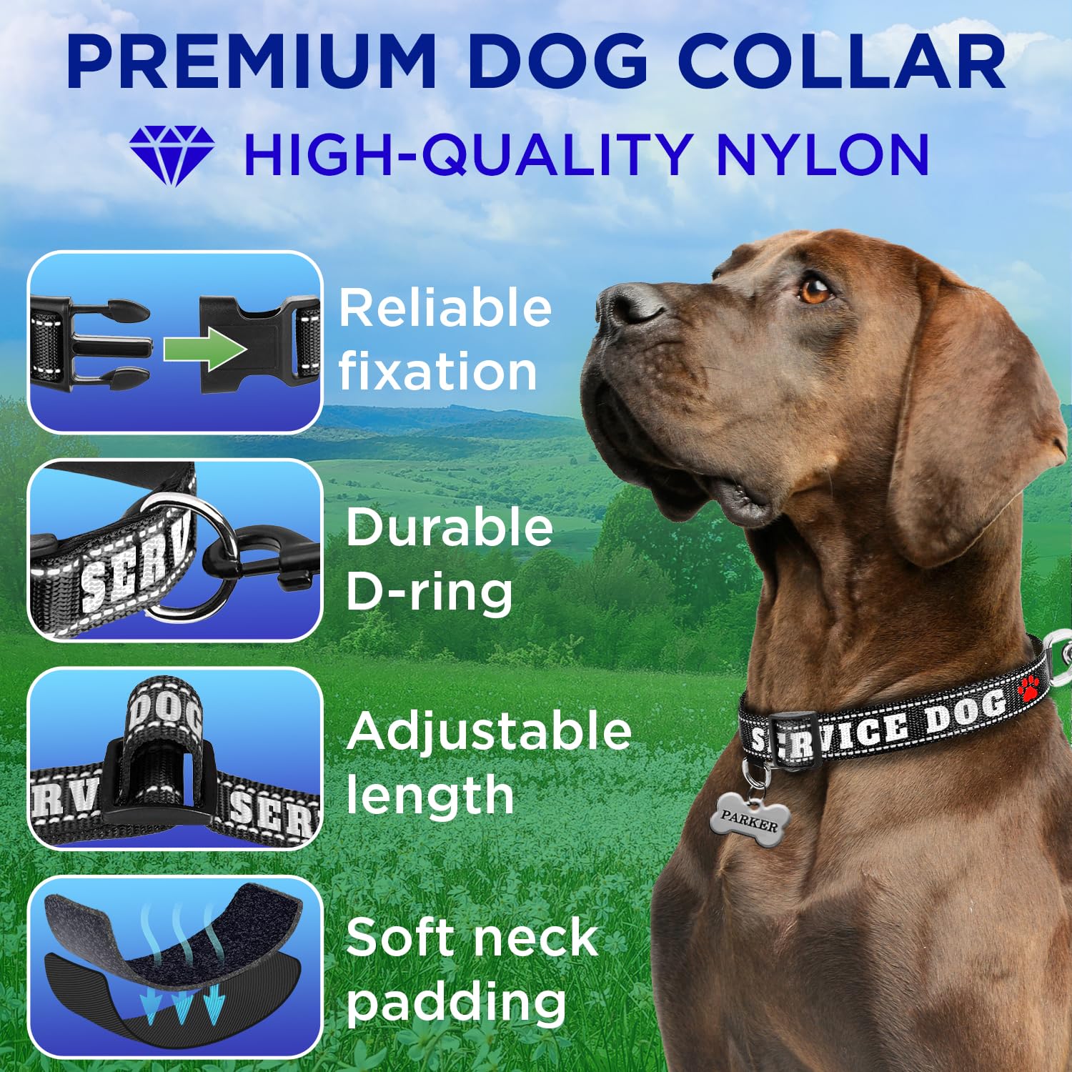 Teceum Reflective Pet Collar - Black - Service Dog - L - Extra Soft Padding - Basic Nylon Dog Collar - Quick Release Buckle - Fi