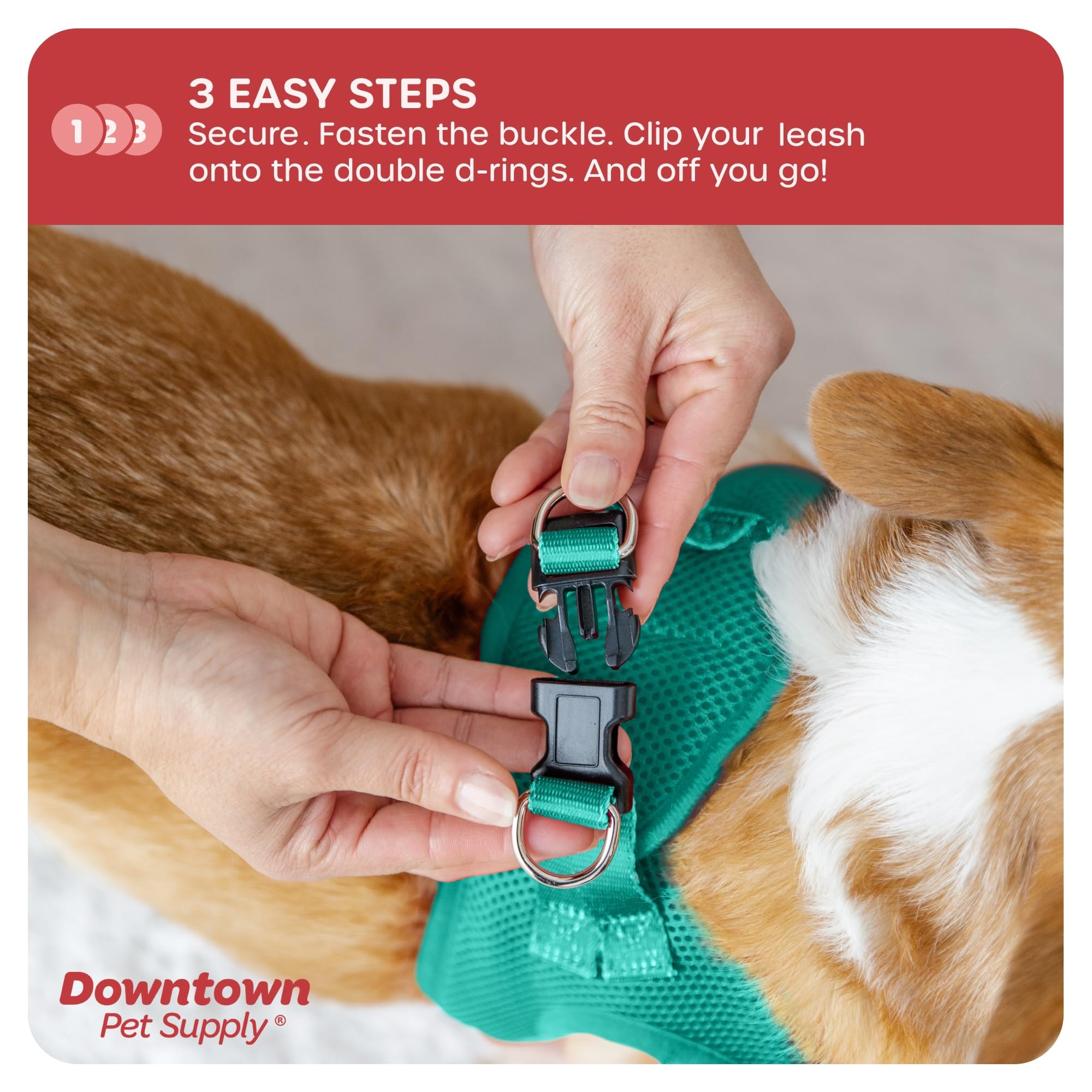 Downtown Pet Supply Step In Dog Harness For Small Dogs No Pull, Large, Bermuda Blue - Adjustable Harness With Padded Mesh Fabric