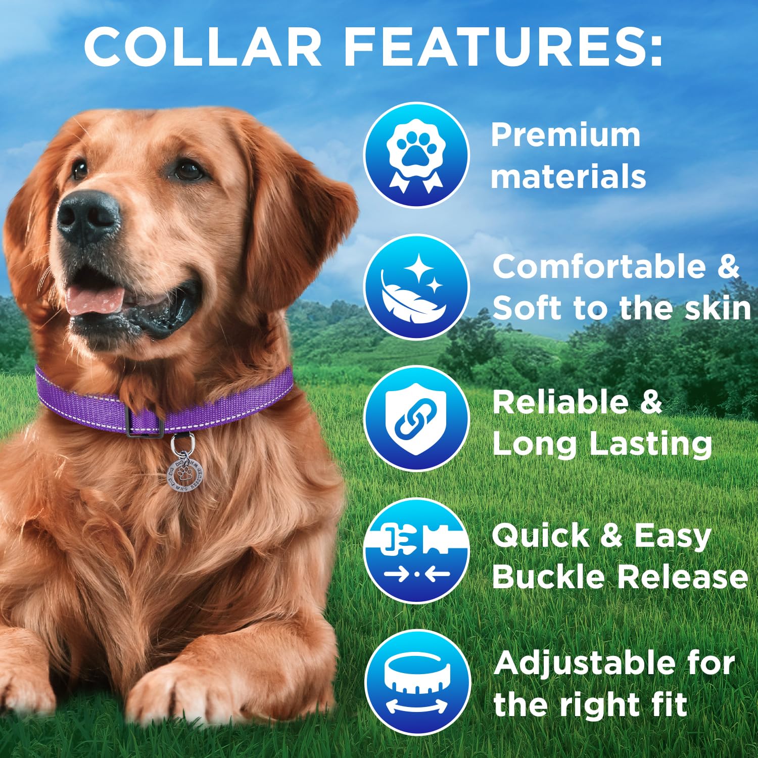 Teceum Reflective Pet Collar - Purple - M - Extra Soft Padding - Basic Nylon Dog Collar - Quick Release Buckle - Fits Small, Med