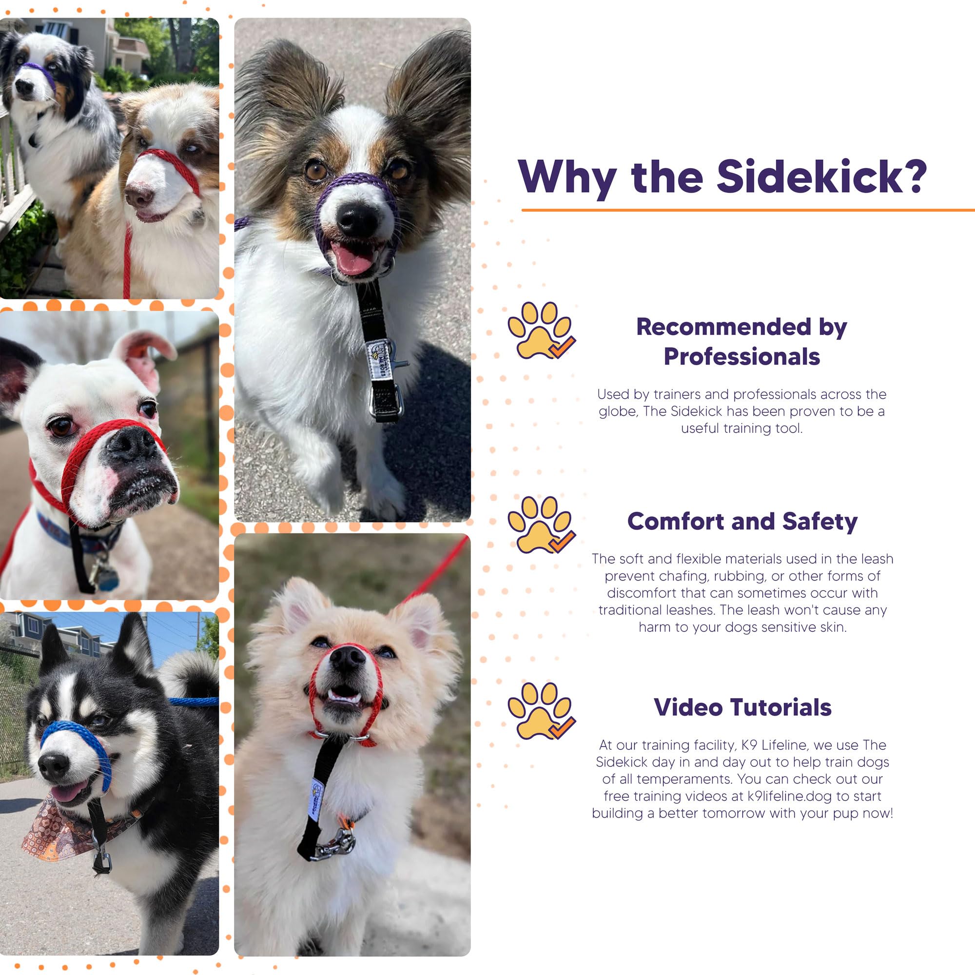 Heather'S Heroes Sidekick Dog Headcollar With Leash - Effective Dog Training Tool For Leash Reactivity And Behavior Issues (Purp