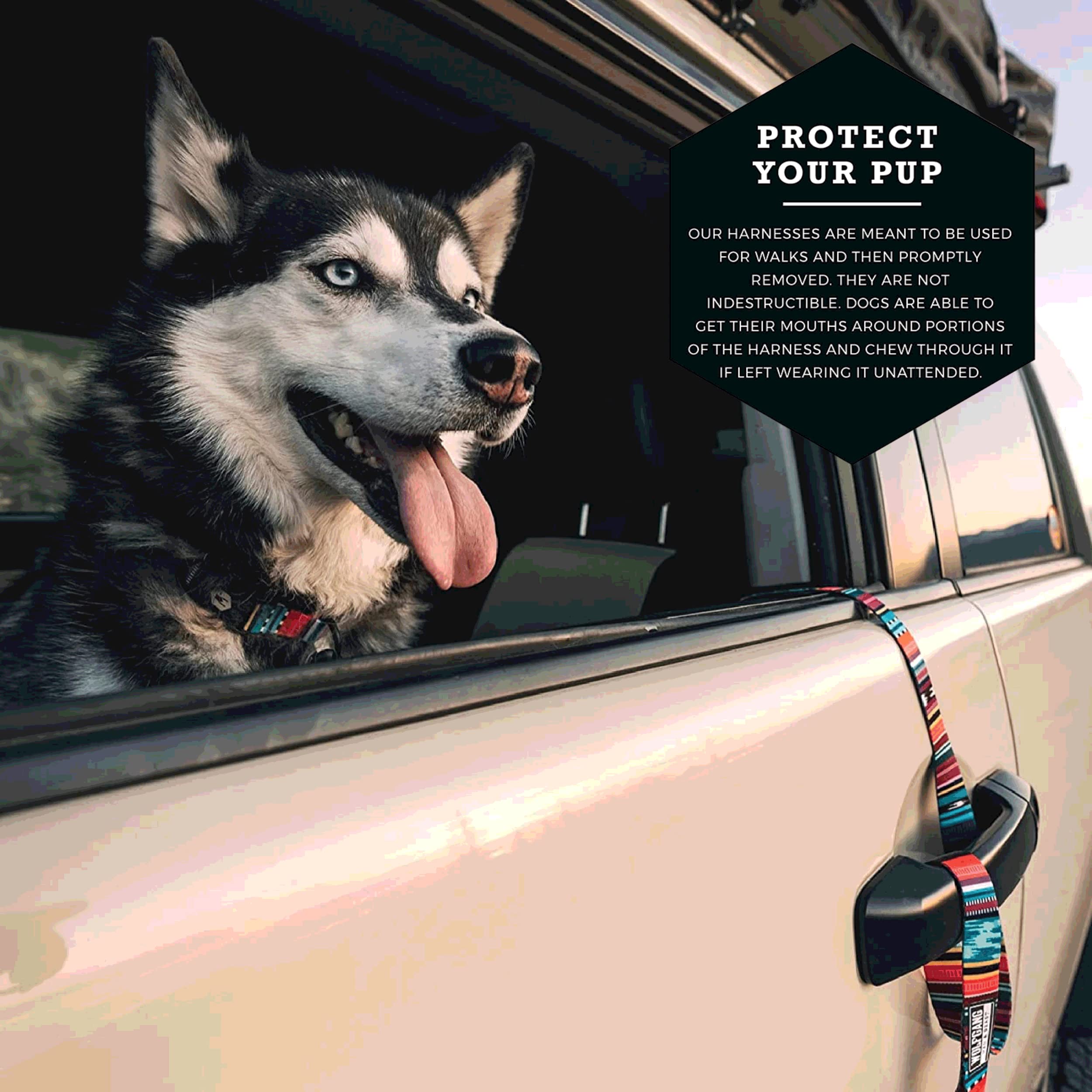 Wolfgang Heavy Duty Adjustable Dog Harness, Pull-Tested To Over 800 Lbs For Walking & Training, Quetzal Print, Extra Large