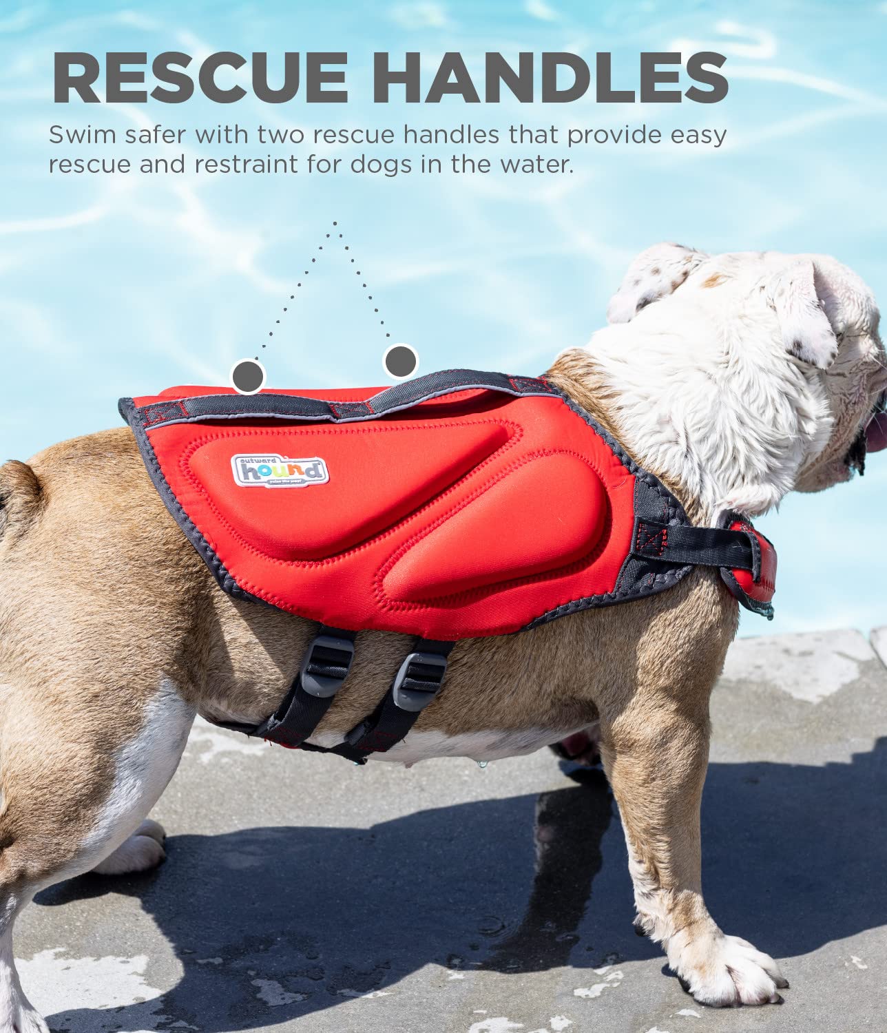 Outward Hound Dawson Swim Dog Life Jacket, Medium, Red, 50% Neoprene, Chest Girth 21"-27", Model 22093