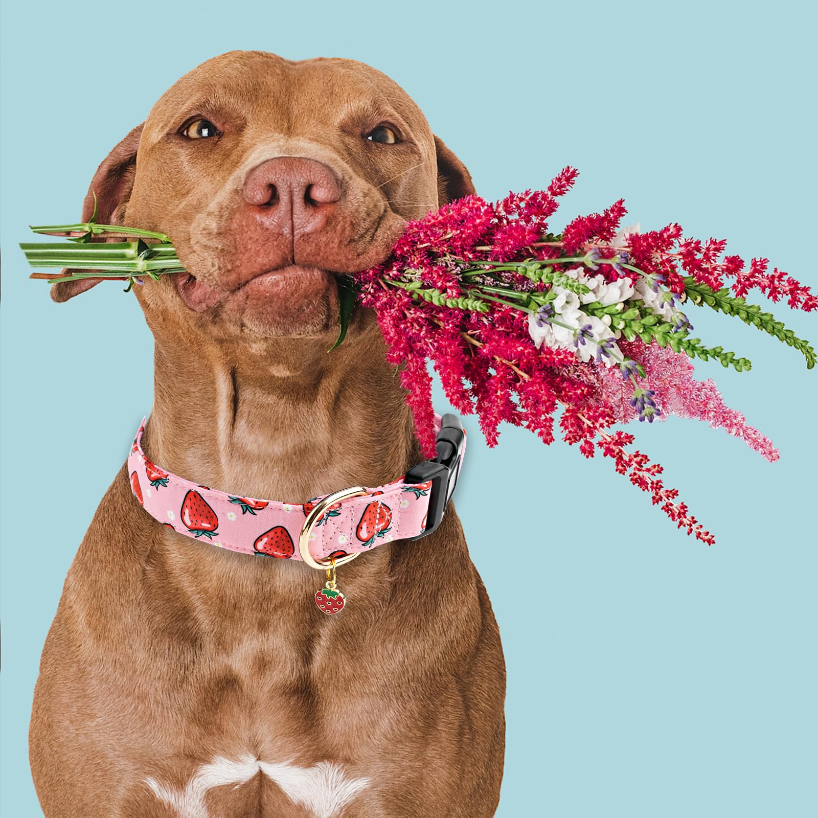 Faygarsle Pink Strawberry Pattern Cotton Dog Collar For Small, Medium, Large Boys Girls Dogs L